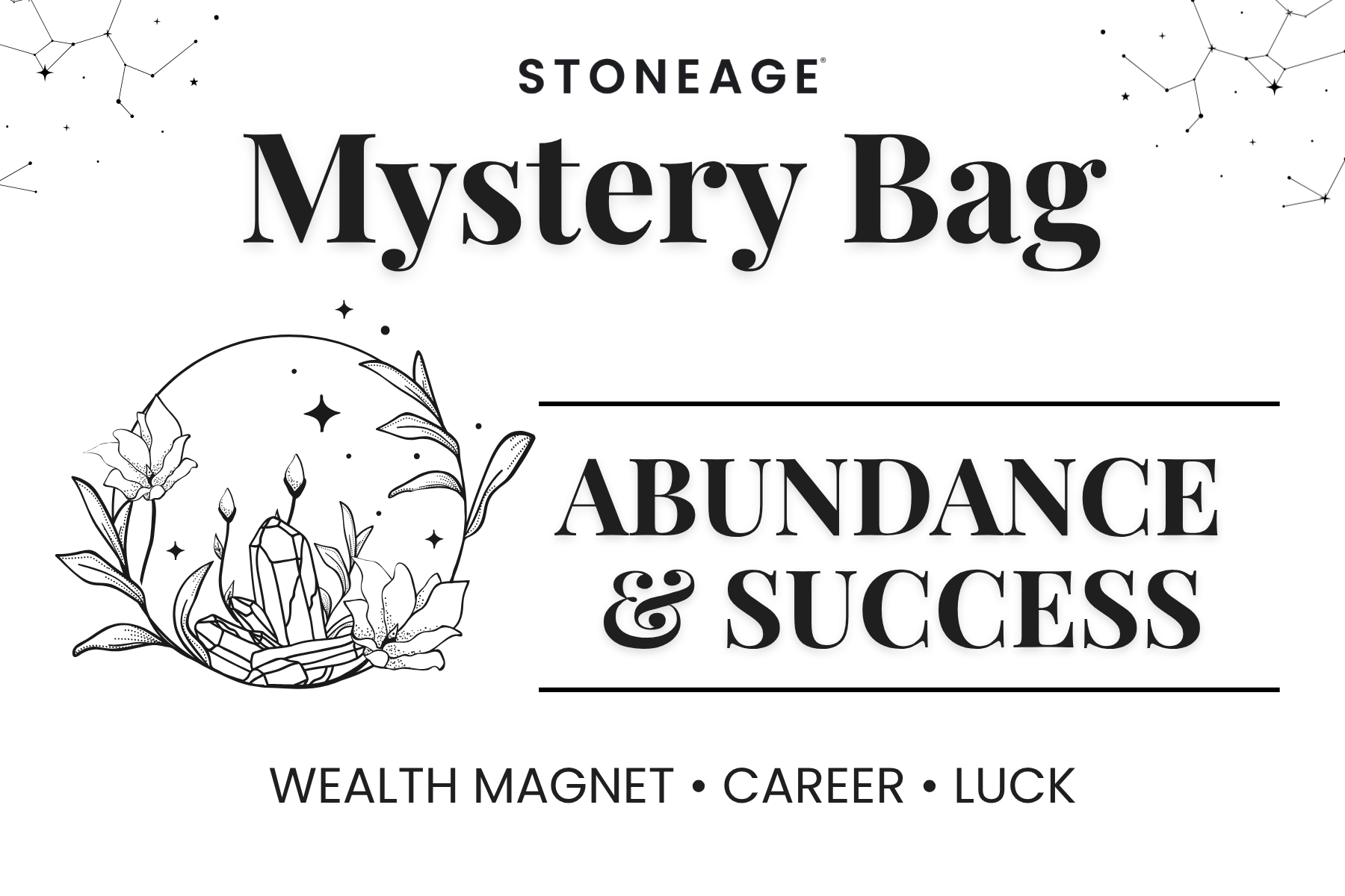 ABUNDANCE & SUCCESS - Medium Mystery Bag Labels, 20 Pieces in a Pack