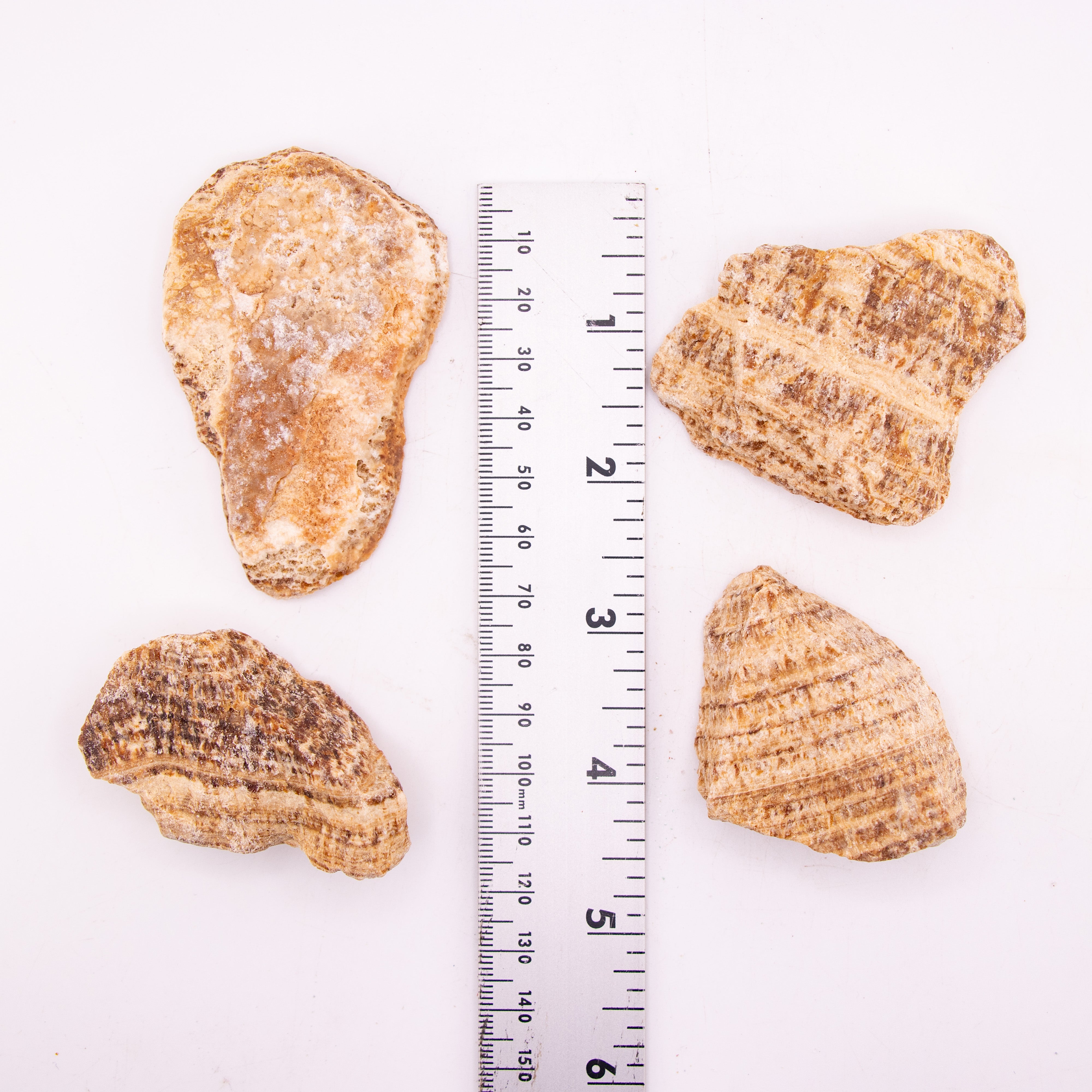 Aragonite Rough Stone, 3-5cm, 20 Pieces in a Pack, #060