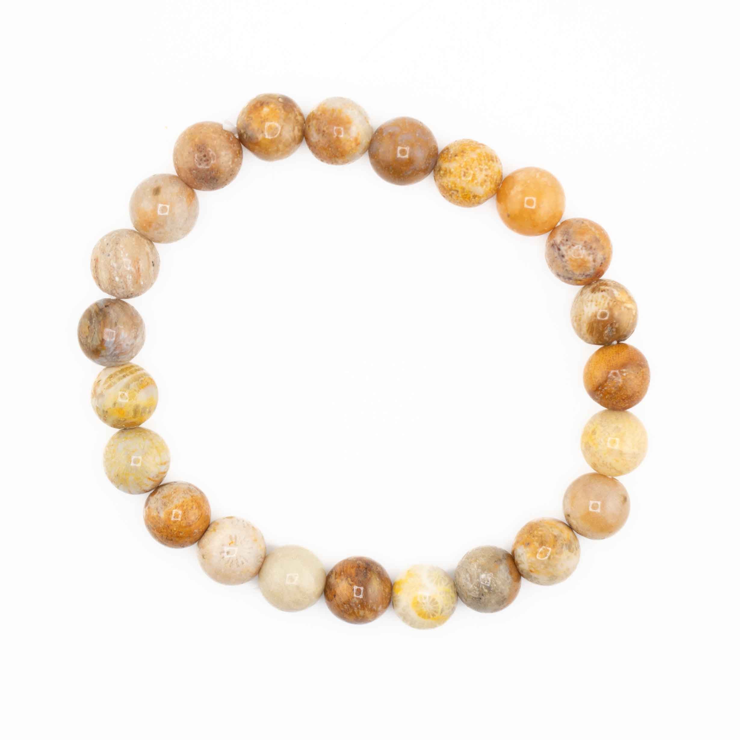 Coral (Fossil), Metal Free Bracelet, 8mm, 5 Pieces in a Pack