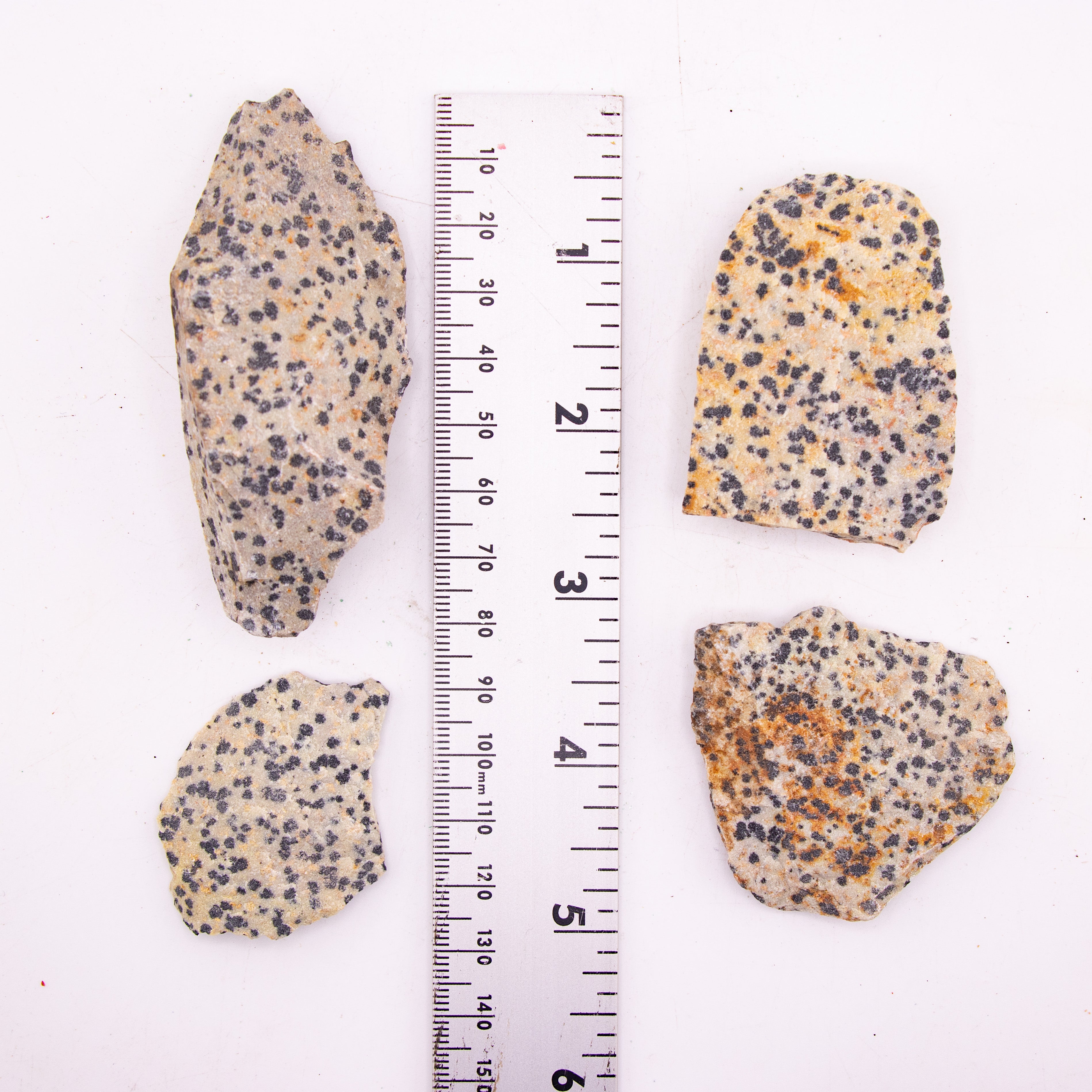 Dalmatian Jasper Rough Stone, 3-6cm, 20 Pieces in a Pack, #063