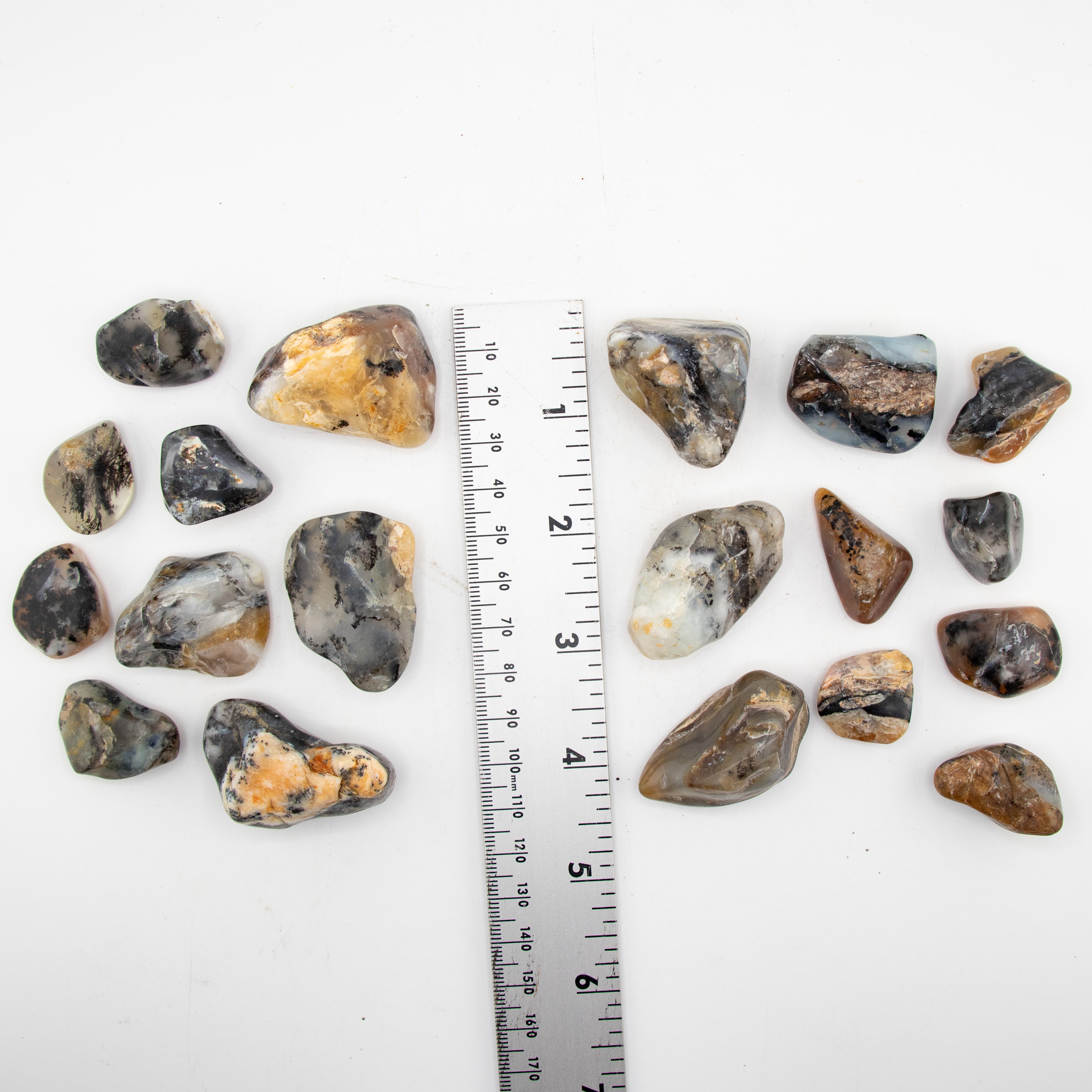 Dendritic Agate Tumbled Stone, 2-3cm, 1 Lb