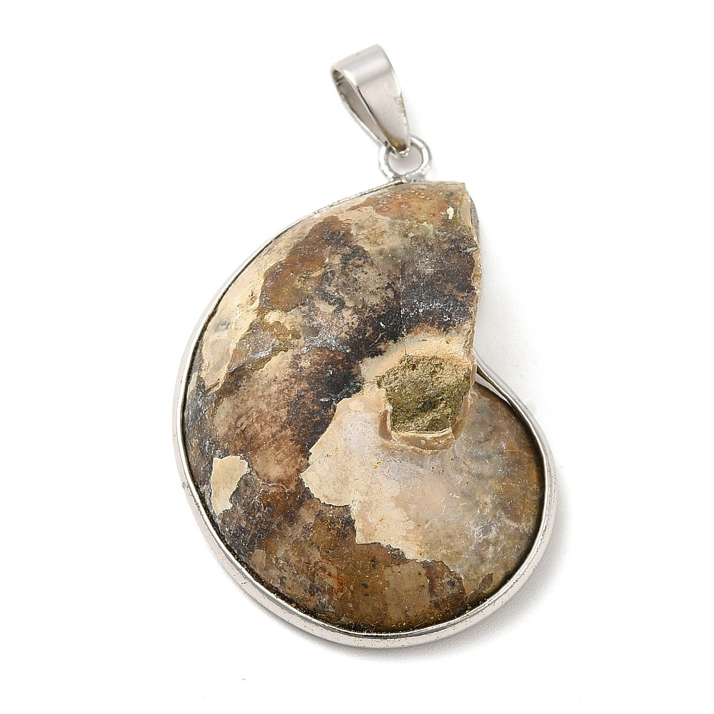 Silver Wrapped Ammonite Pendants, 5 Pieces in a Pack