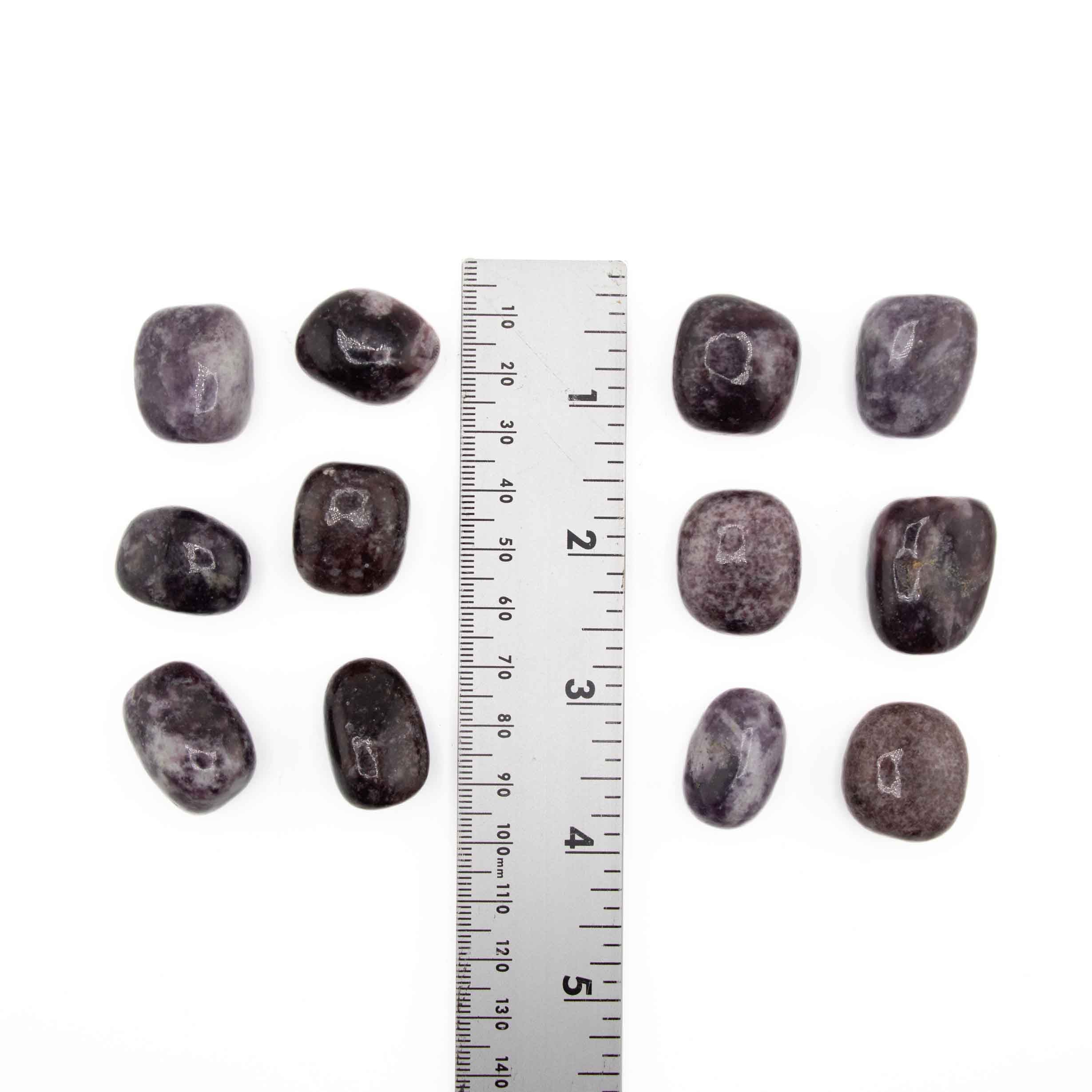 Lepidolite Tumbled Stone, 2-3cm, 1 Lb