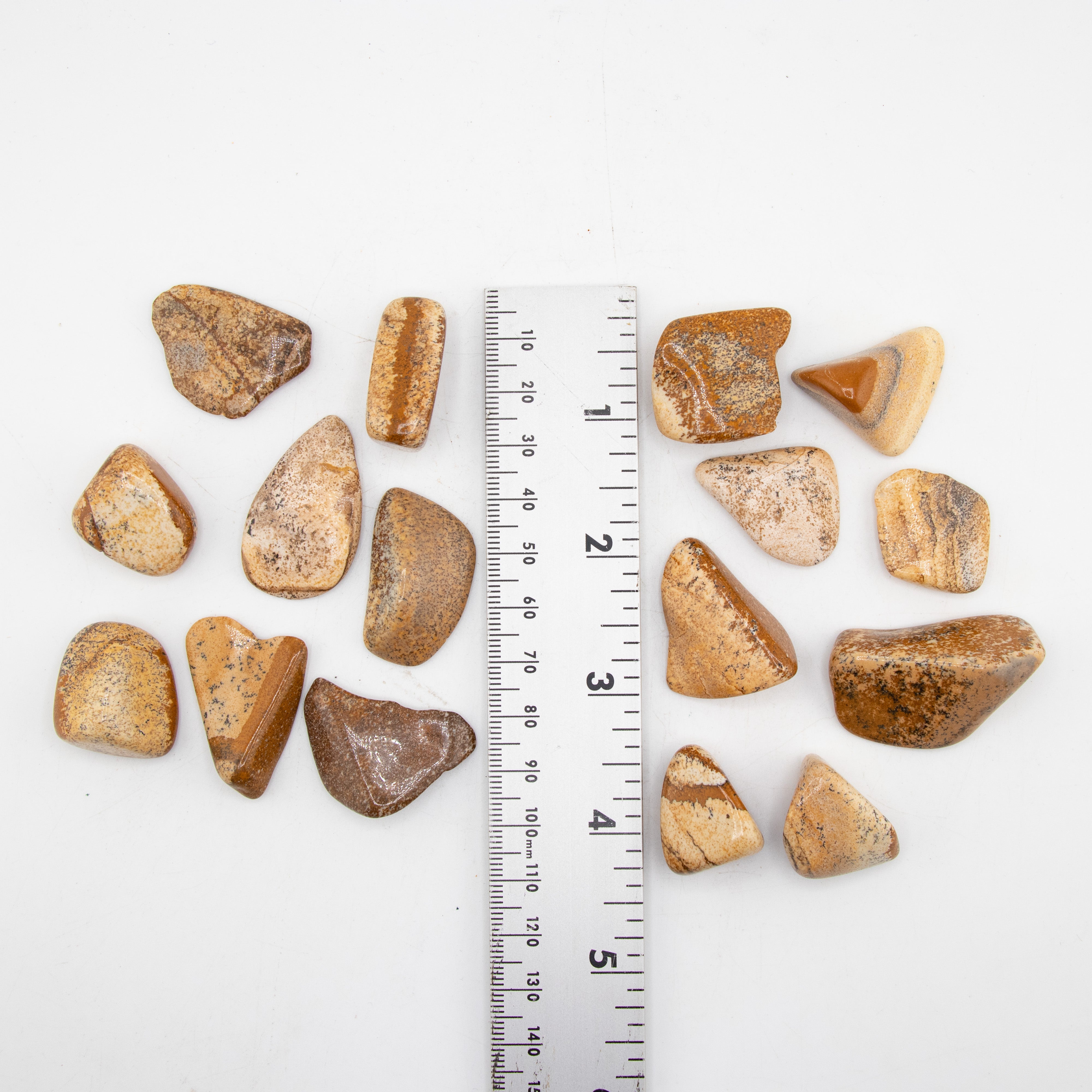 Picture Jasper Tumbled Stone, 2-3cm, 1 Lb
