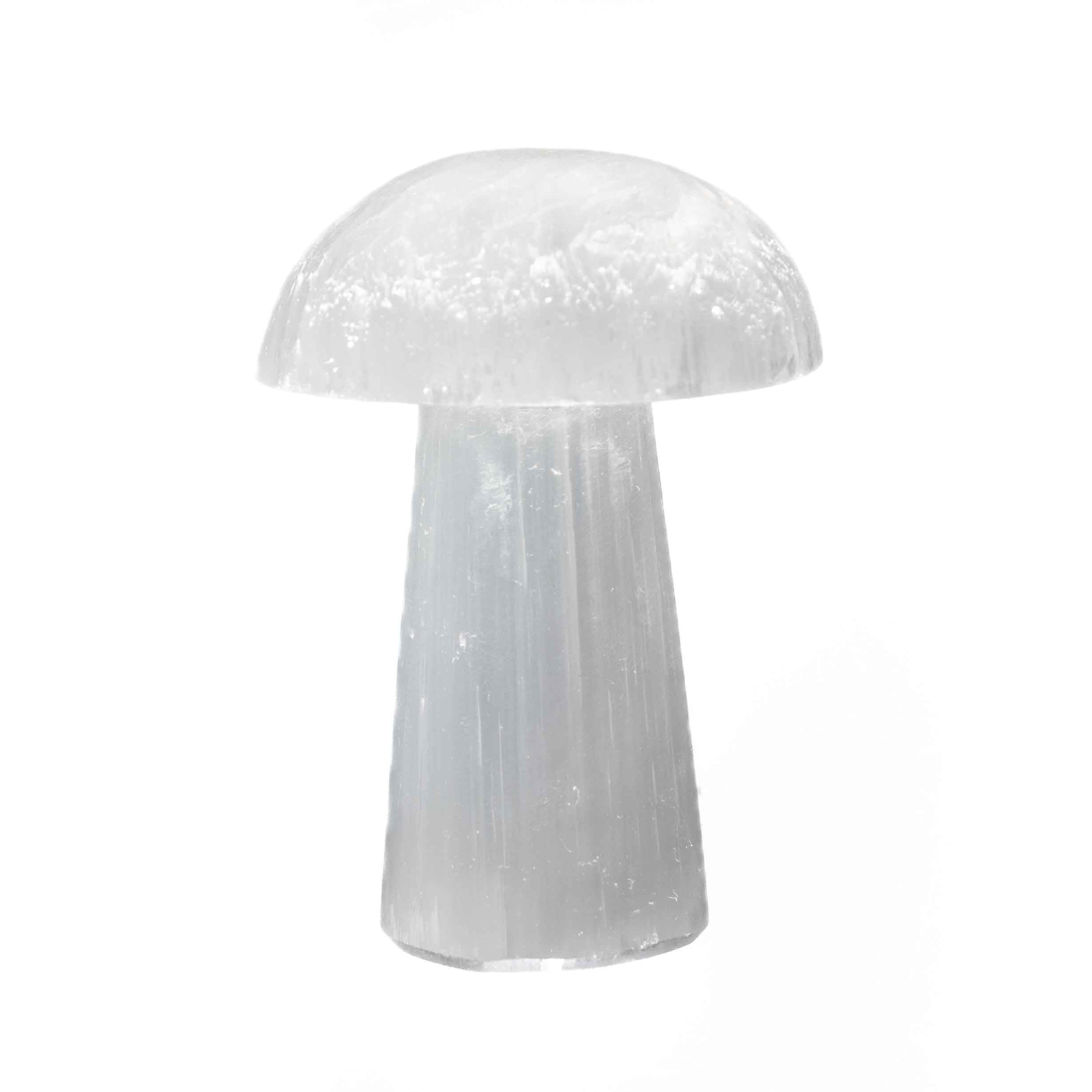 3-inch white selenite mushroom crystal carving with smooth domed cap and natural fibrous stem texture on white background.