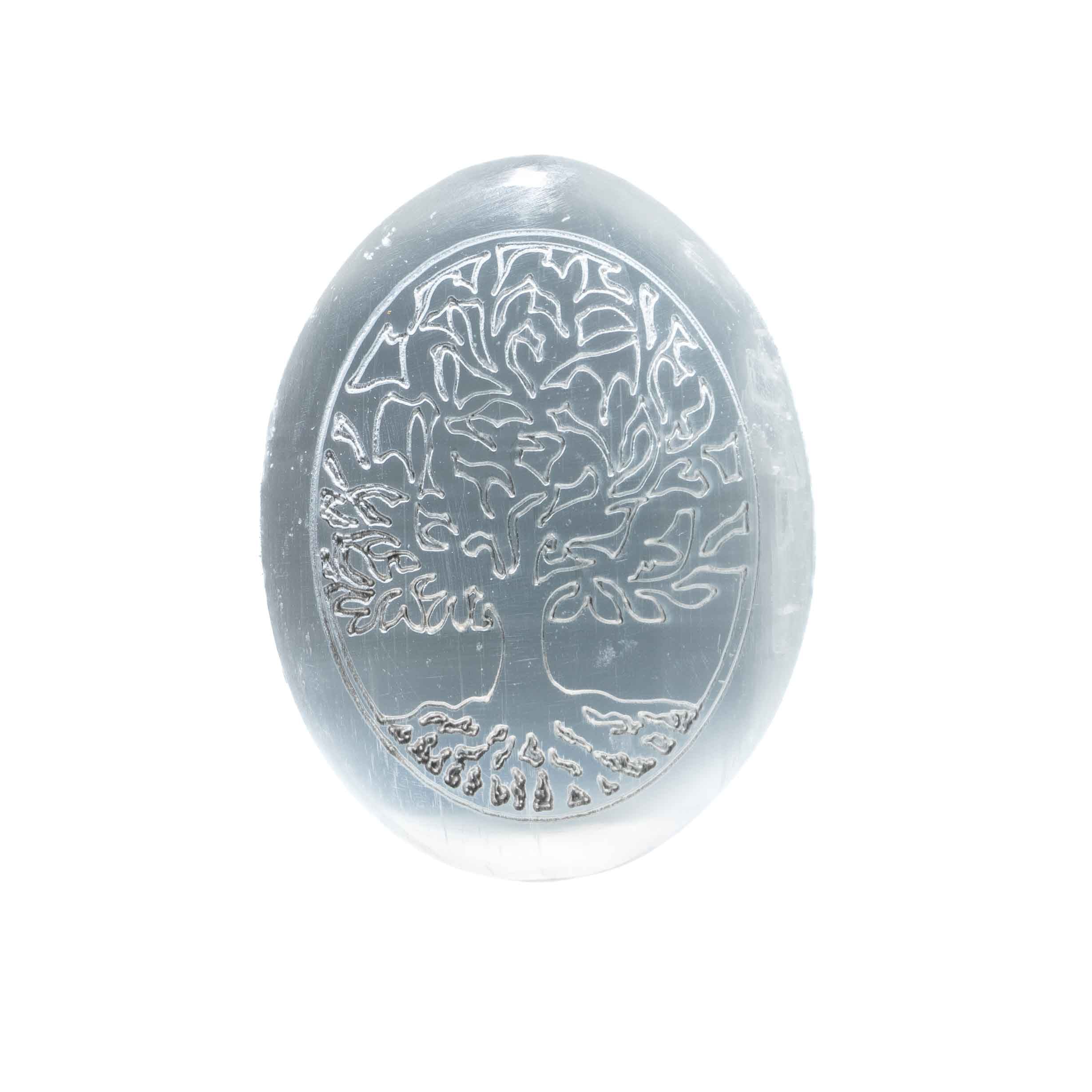 2.5–3 inch white selenite oval palm stone engraved with Tree of Life design on white background.