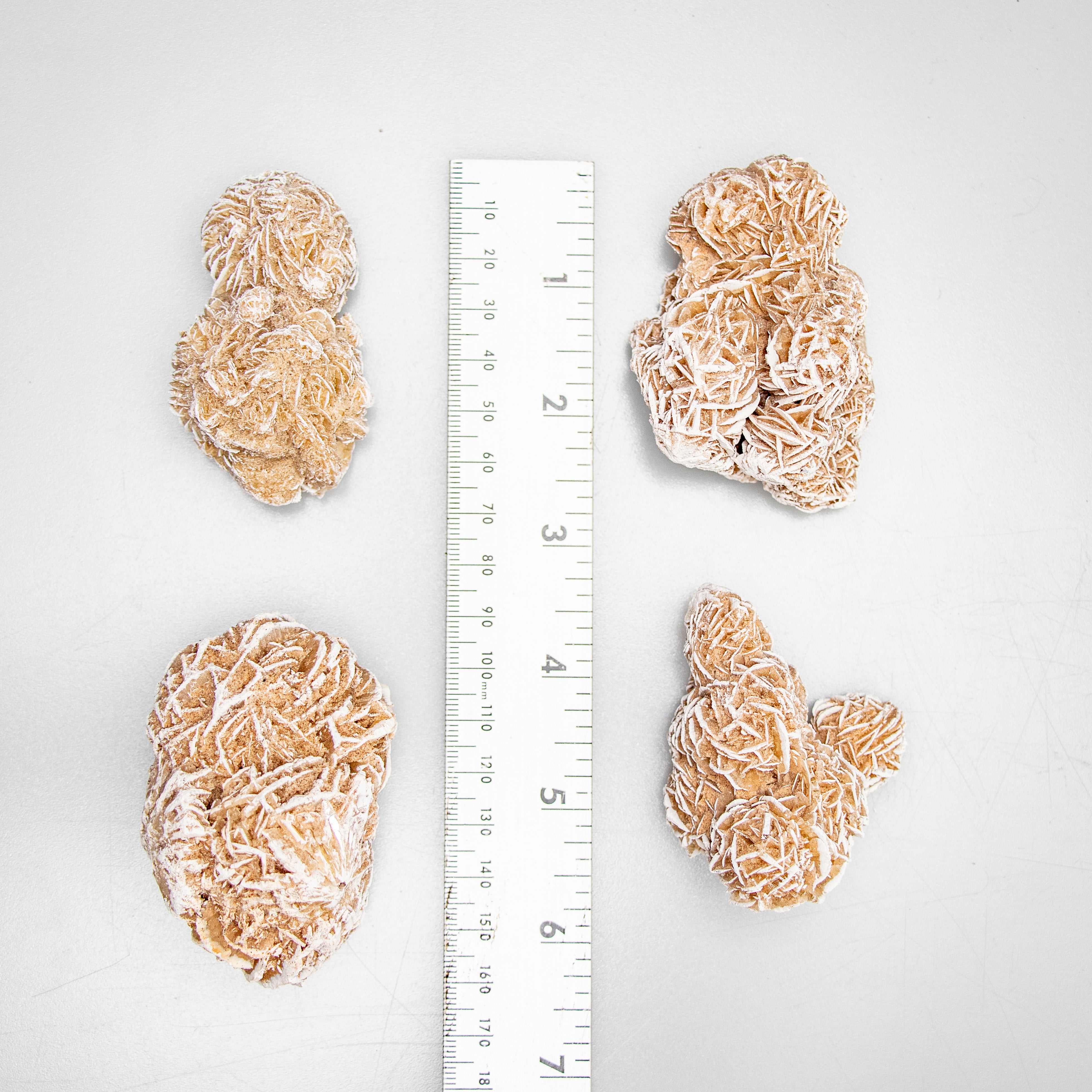 Desert Rose Rough Stone, Small, 1 Piece