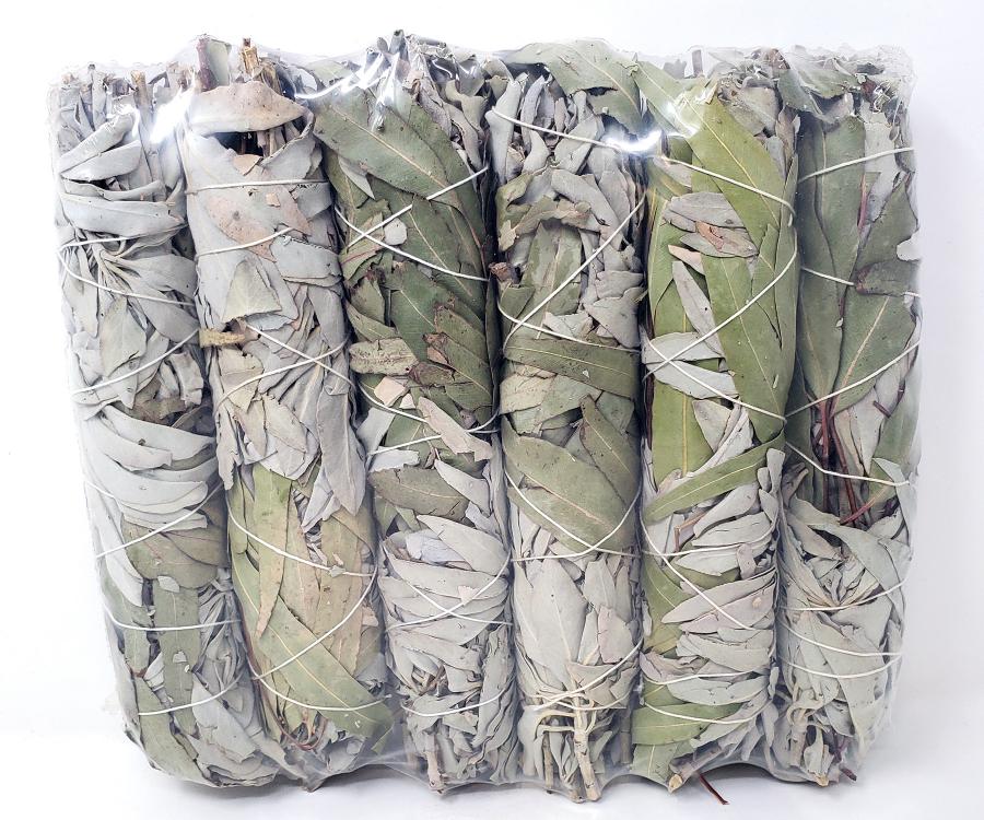 Eucalyptus 8", 6pcs Pack