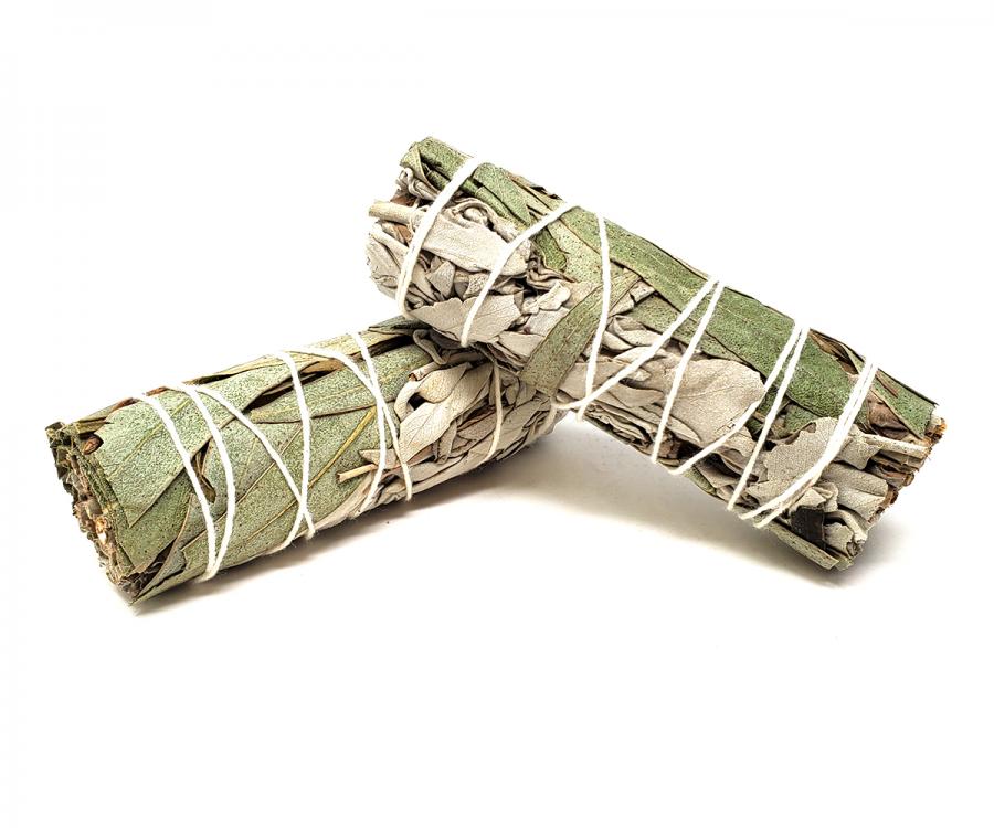 Eucalyptus 4", 6pcs Pack