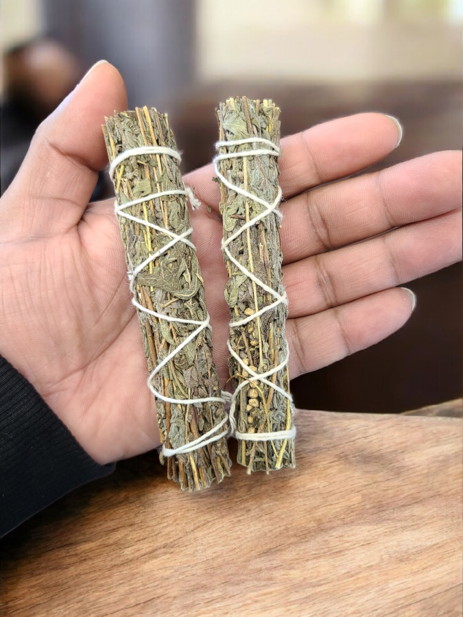 Black Sage (Mugwort) 4", 6pcs Pack