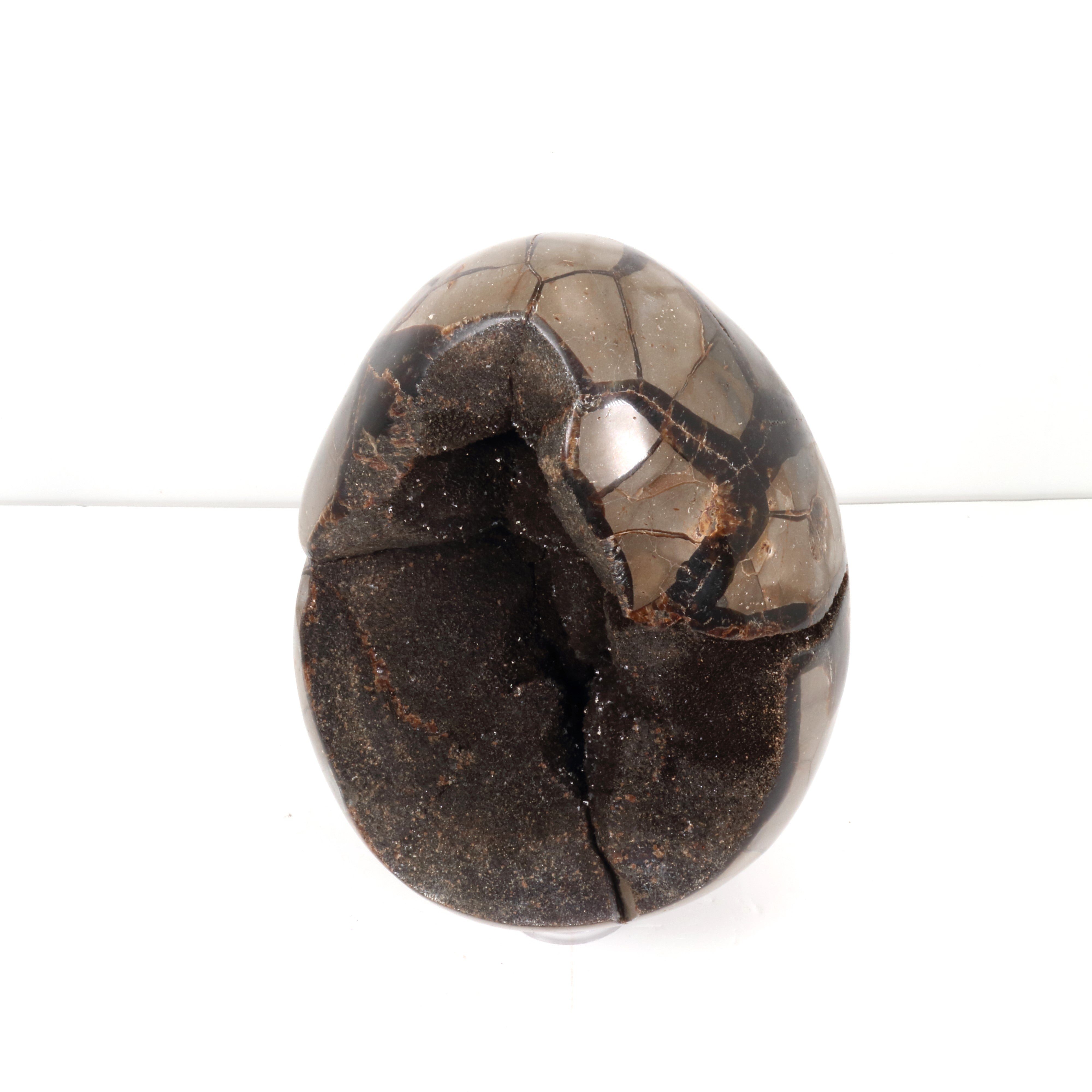 Septarian Dragon Egg, 7" x 5" Inch, Extra Large Size, 1 Piece #004