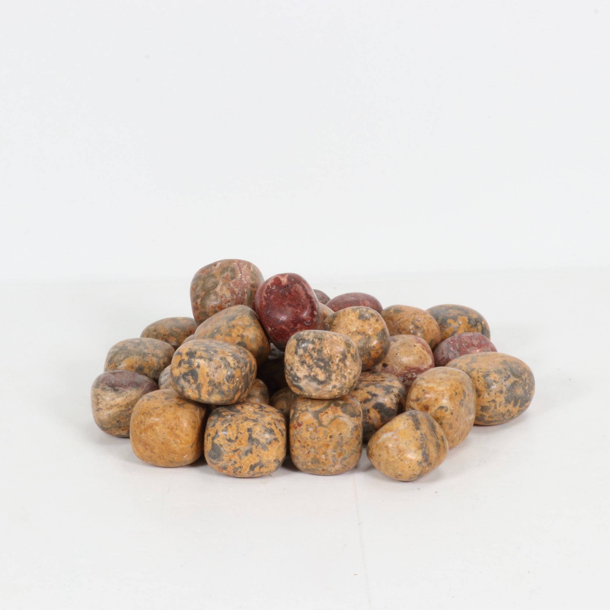Leopard Skin Jasper Tumbled Stone, 3-4cm, 1 Lb