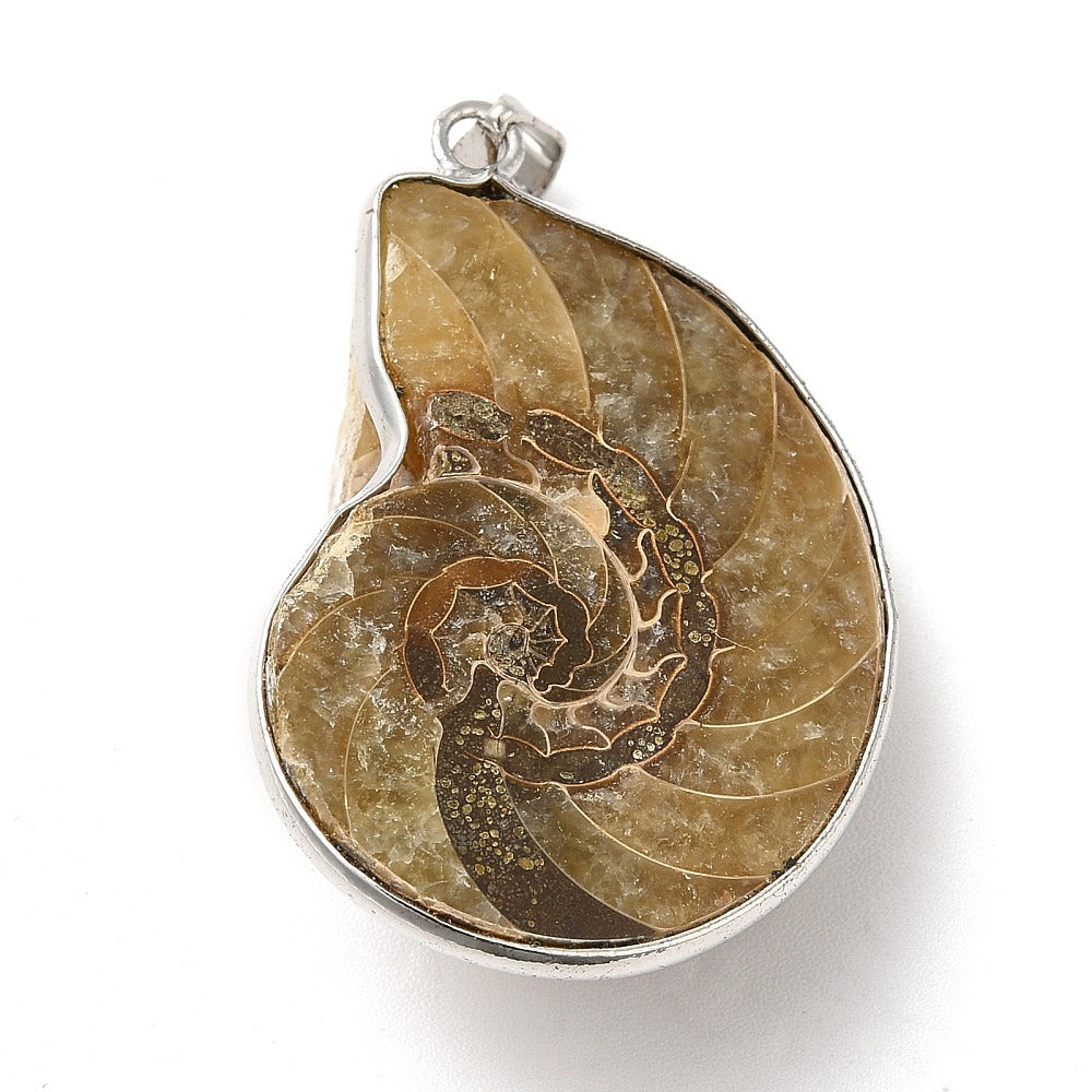 Silver Wrapped Ammonite Pendants, 5 Pieces in a Pack