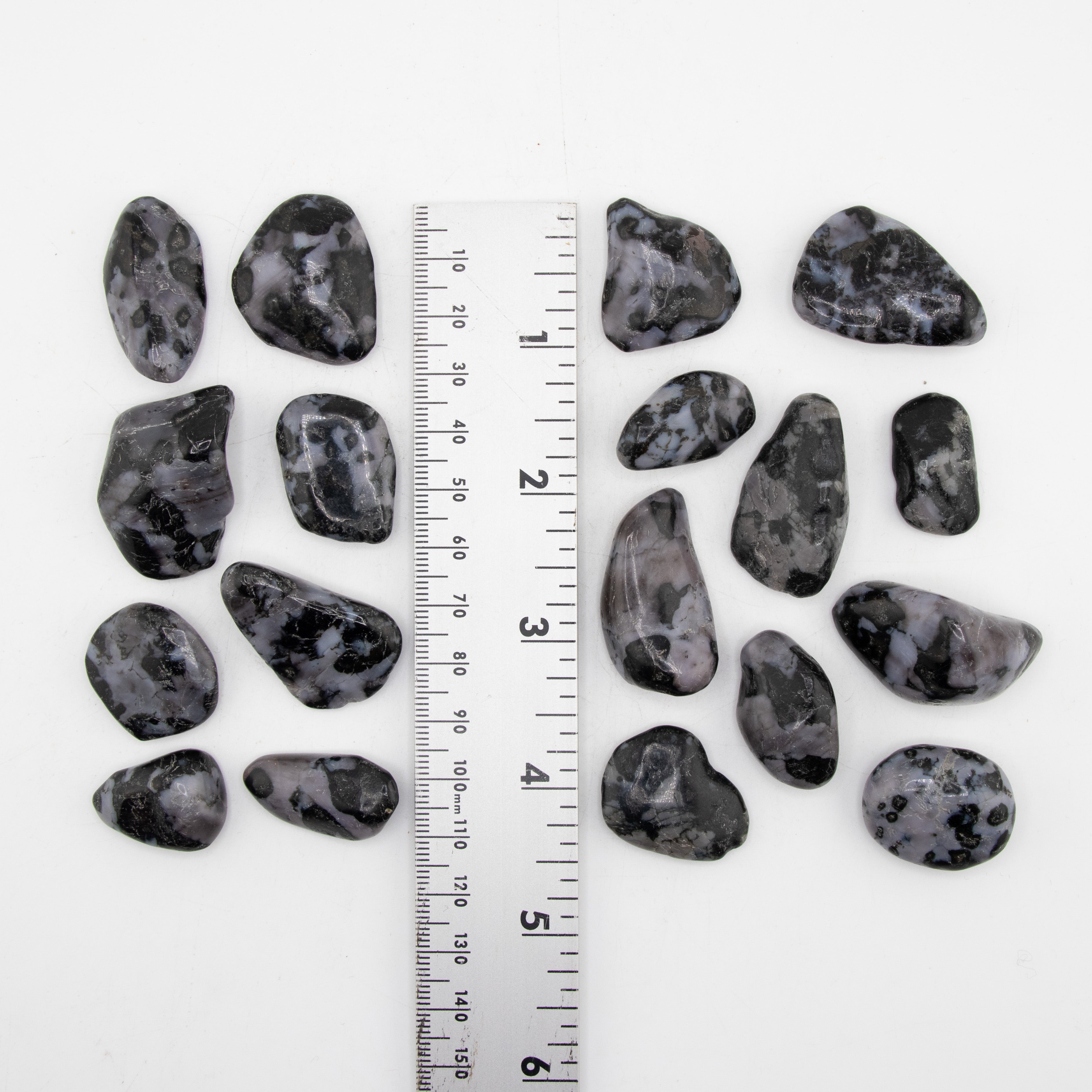 Indigo Gabbro Tumbled Stone, 2-3cm, 1 Lb
