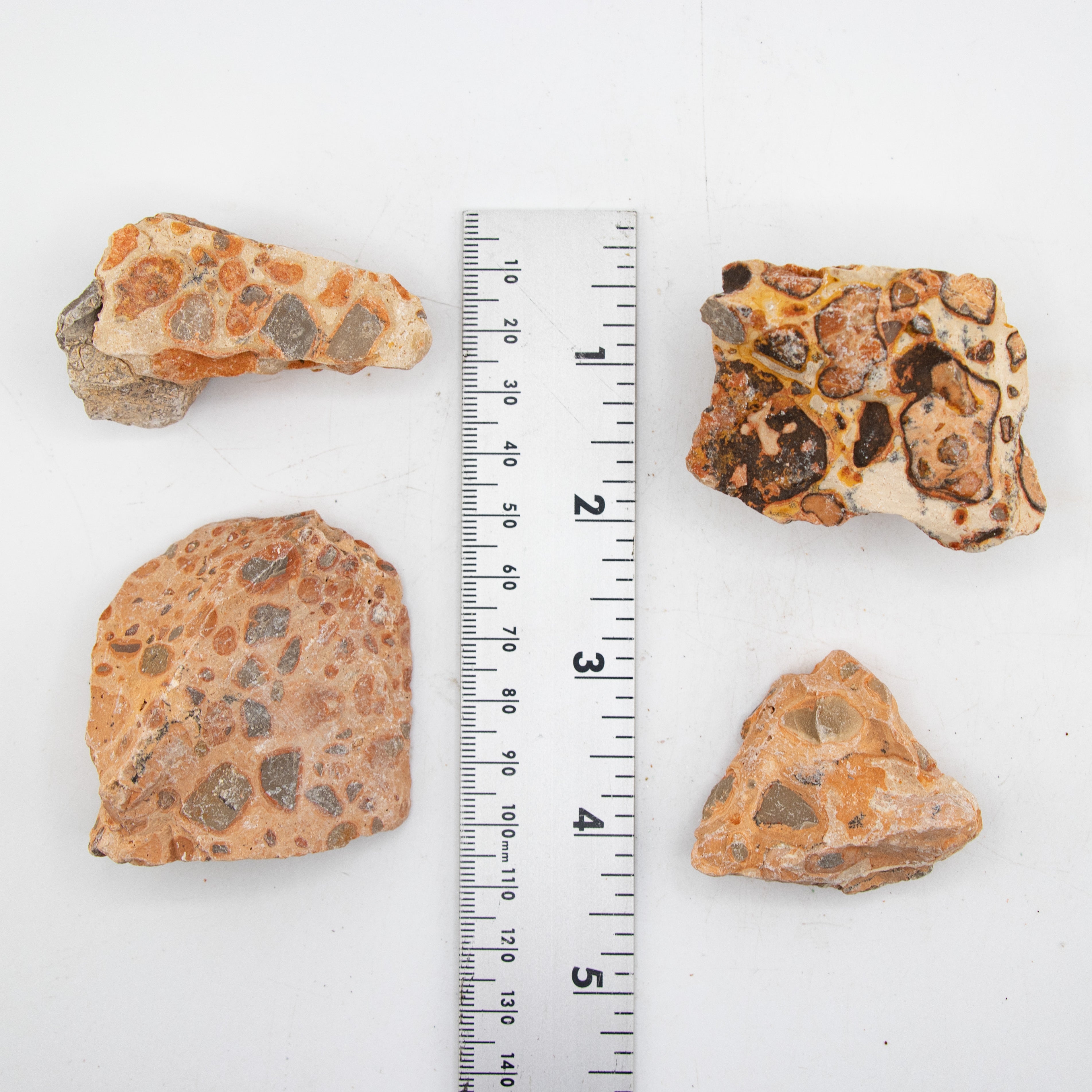 Leopardolite Rough Stone, 3-6cm, 20 Pieces in a Pack, #062