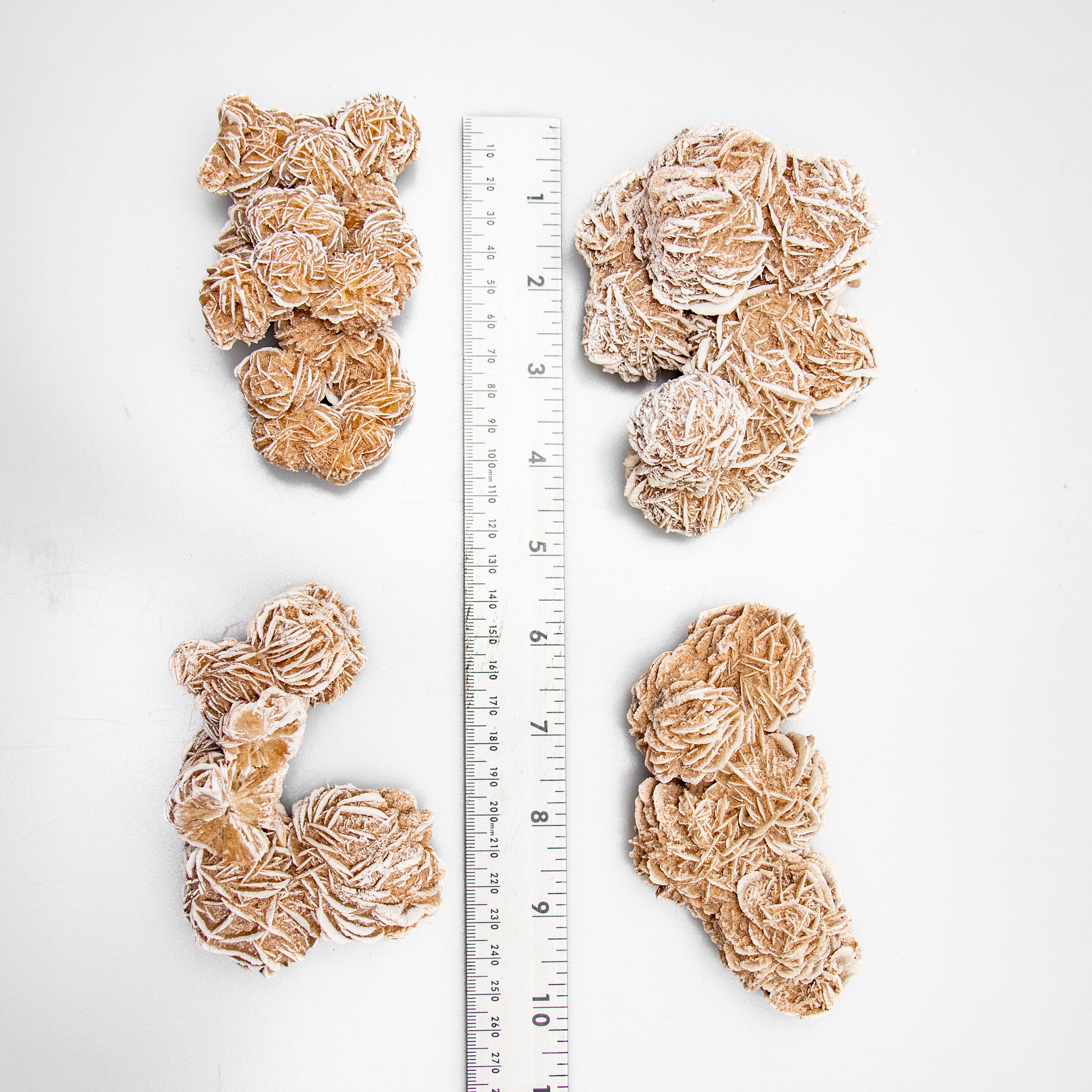 Desert Rose Rough Stone, Medium, 1 Piece