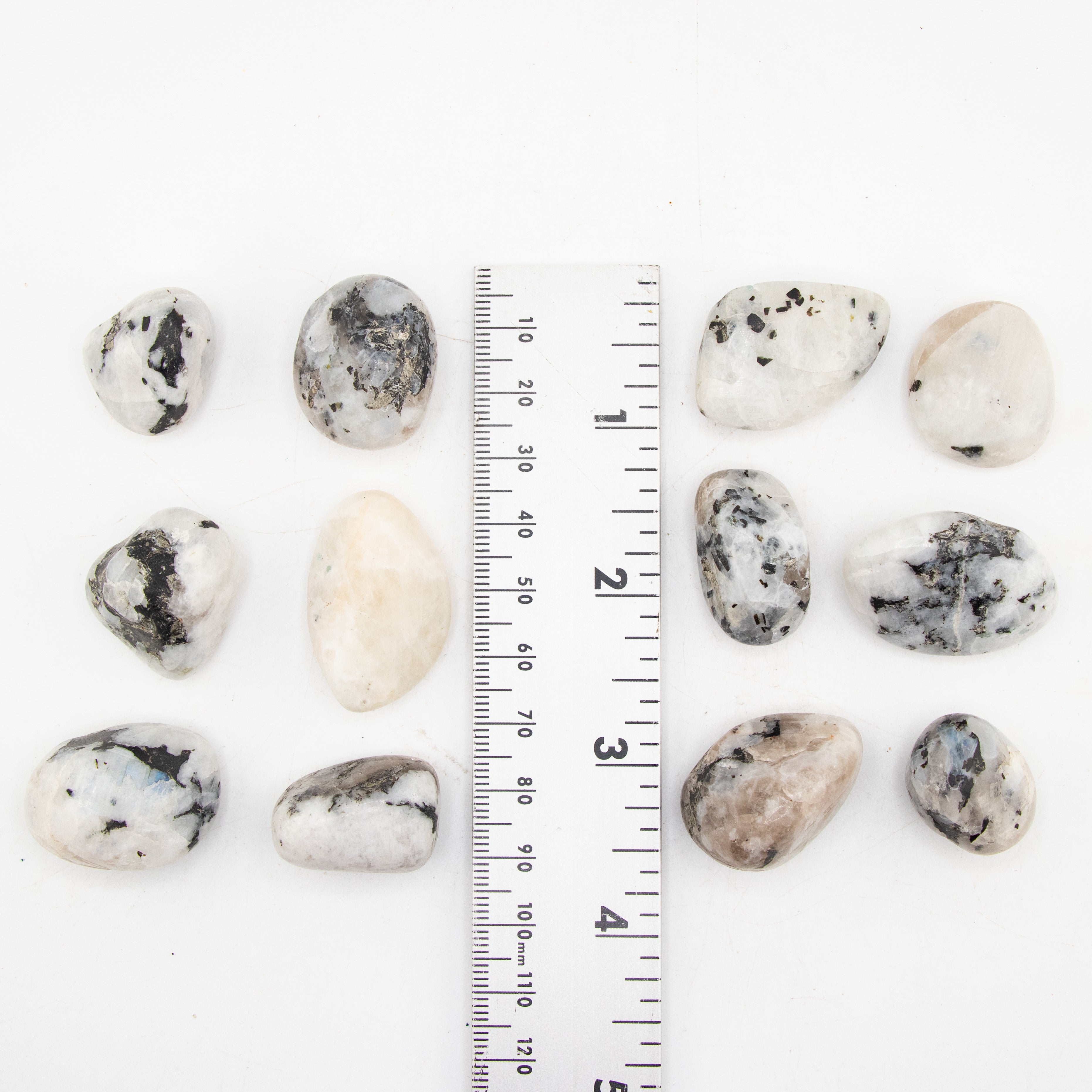 Rainbow Moonstone Tumbled Stone, 2-3cm, 1 Lb