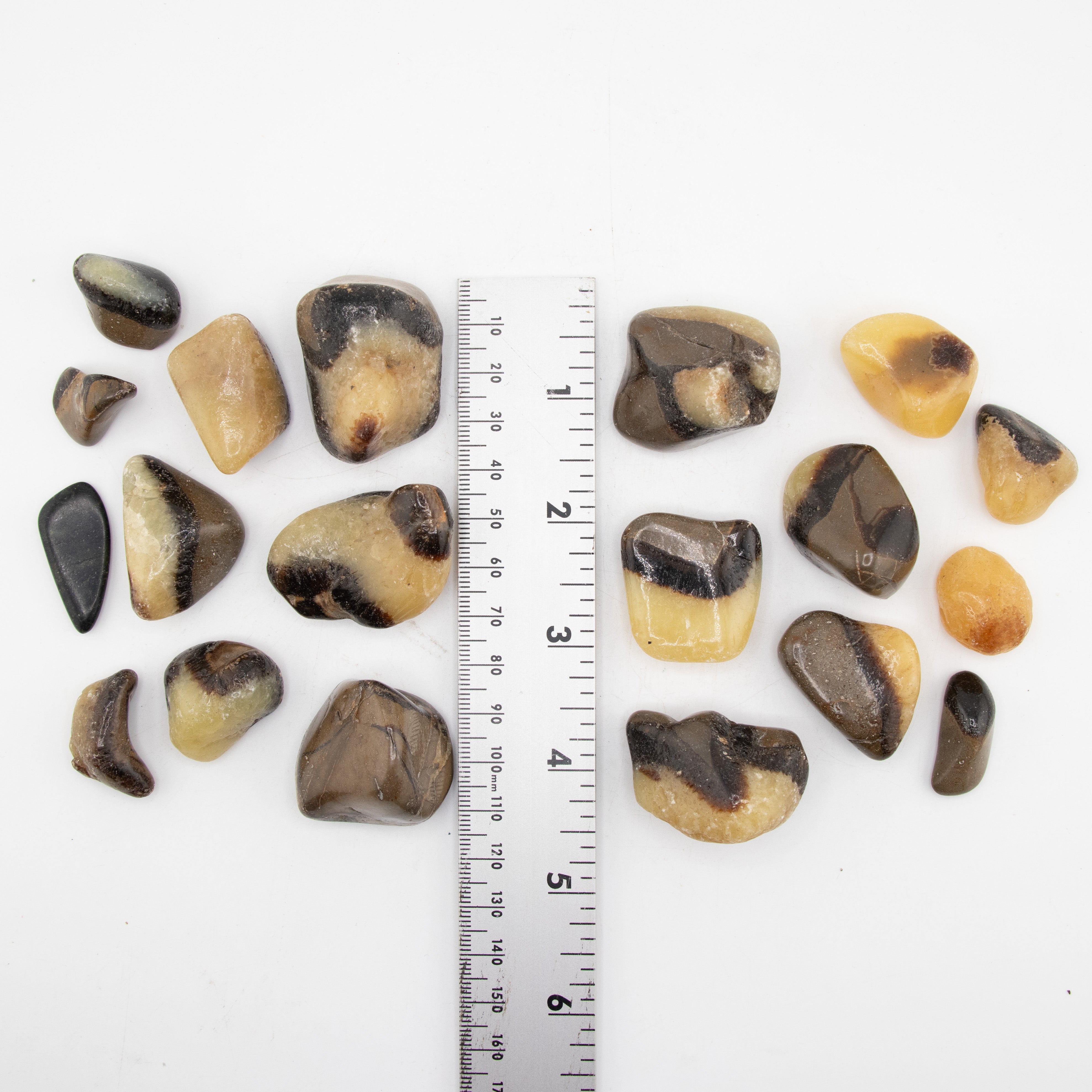 Septerian Tumbled Stone, 2-3cm, 1 Lb