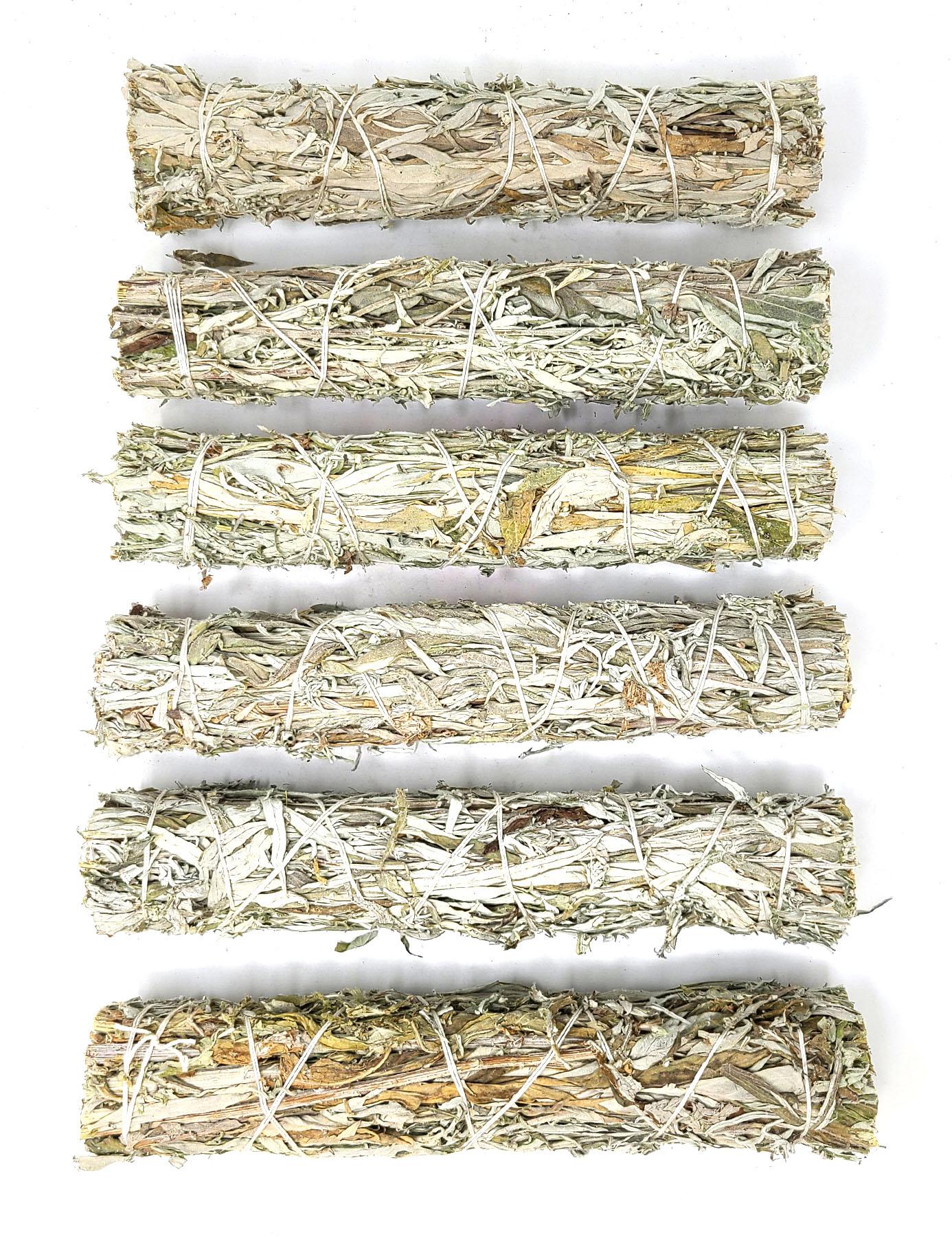 Black Sage (Mugwort) 8", 6pcs Pack