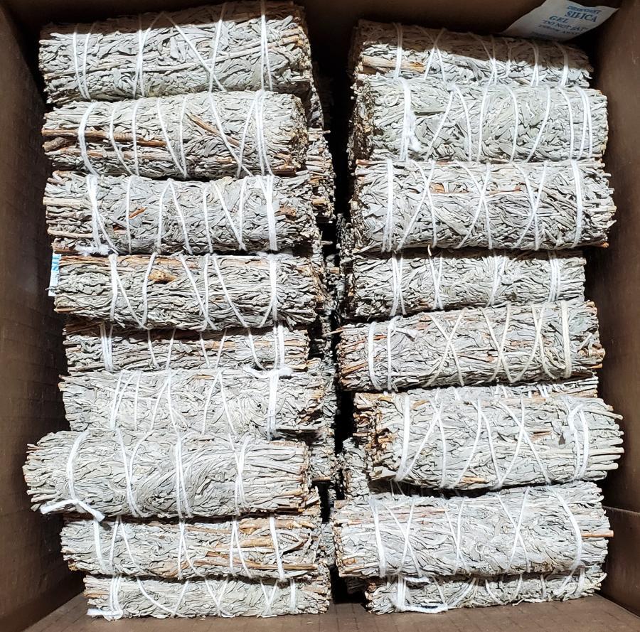 Blue Sage 4", 6pcs Pack