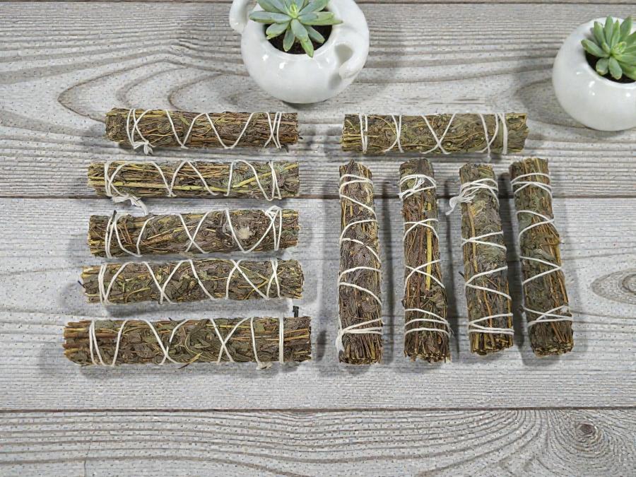 Black Sage (Mugwort) 4", 6pcs Pack