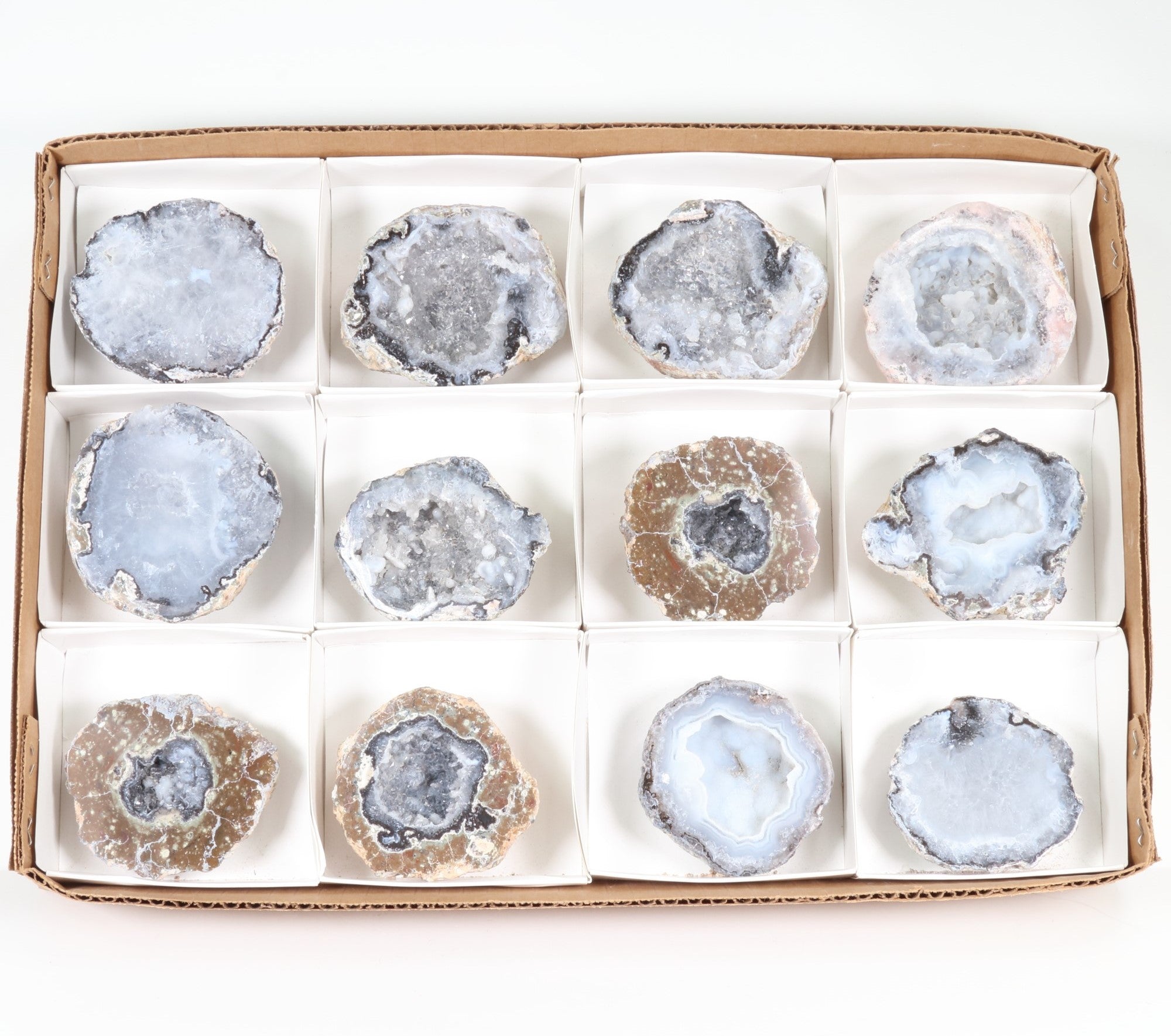 Rough Trancas Geodes Flat Box, Extra Quality, Large,12 Pieces in a Flat, 1 Flat, 150/500 gr