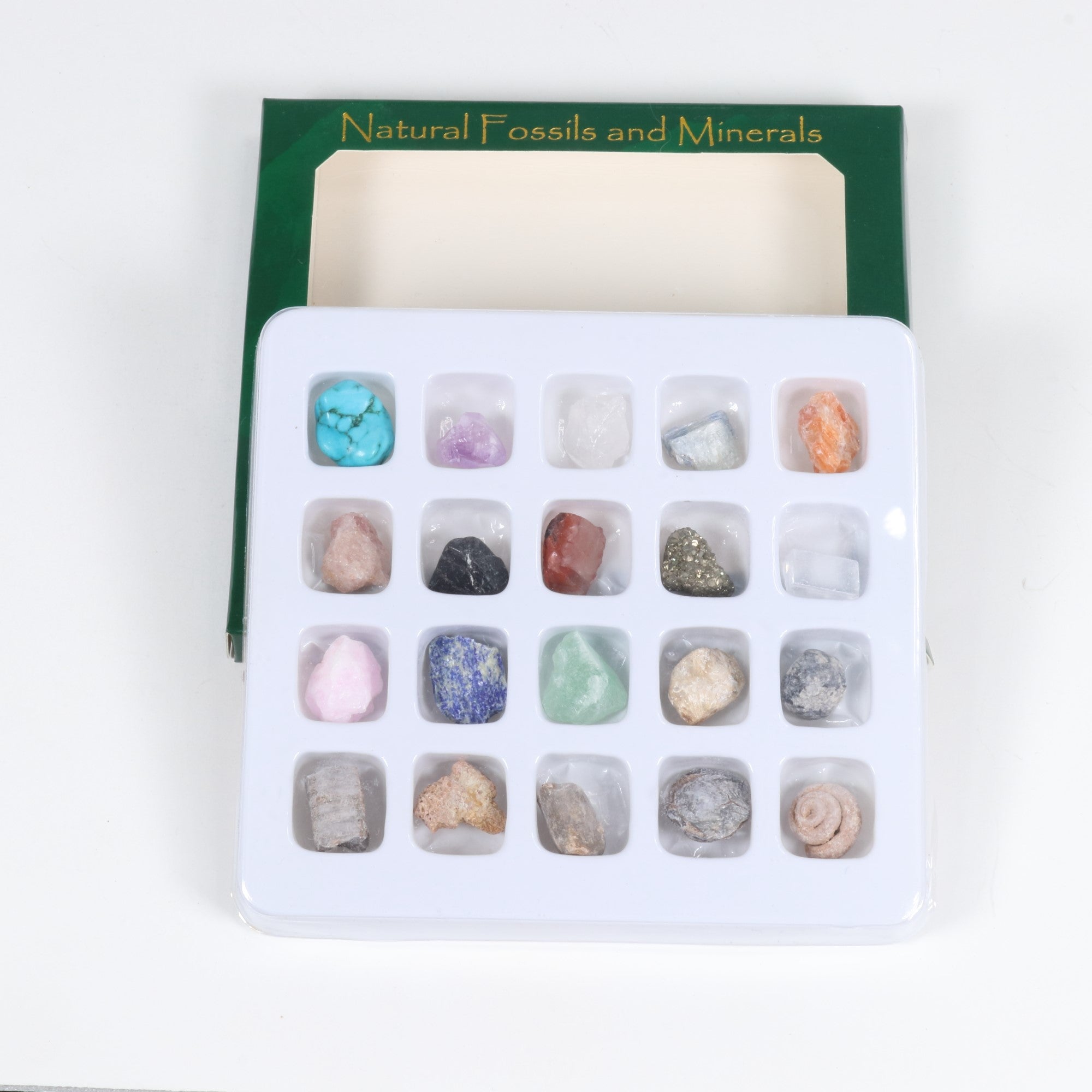 Natural Fossil and Minerals Set, Gift Set, 0,5" Inch, 1 Pack