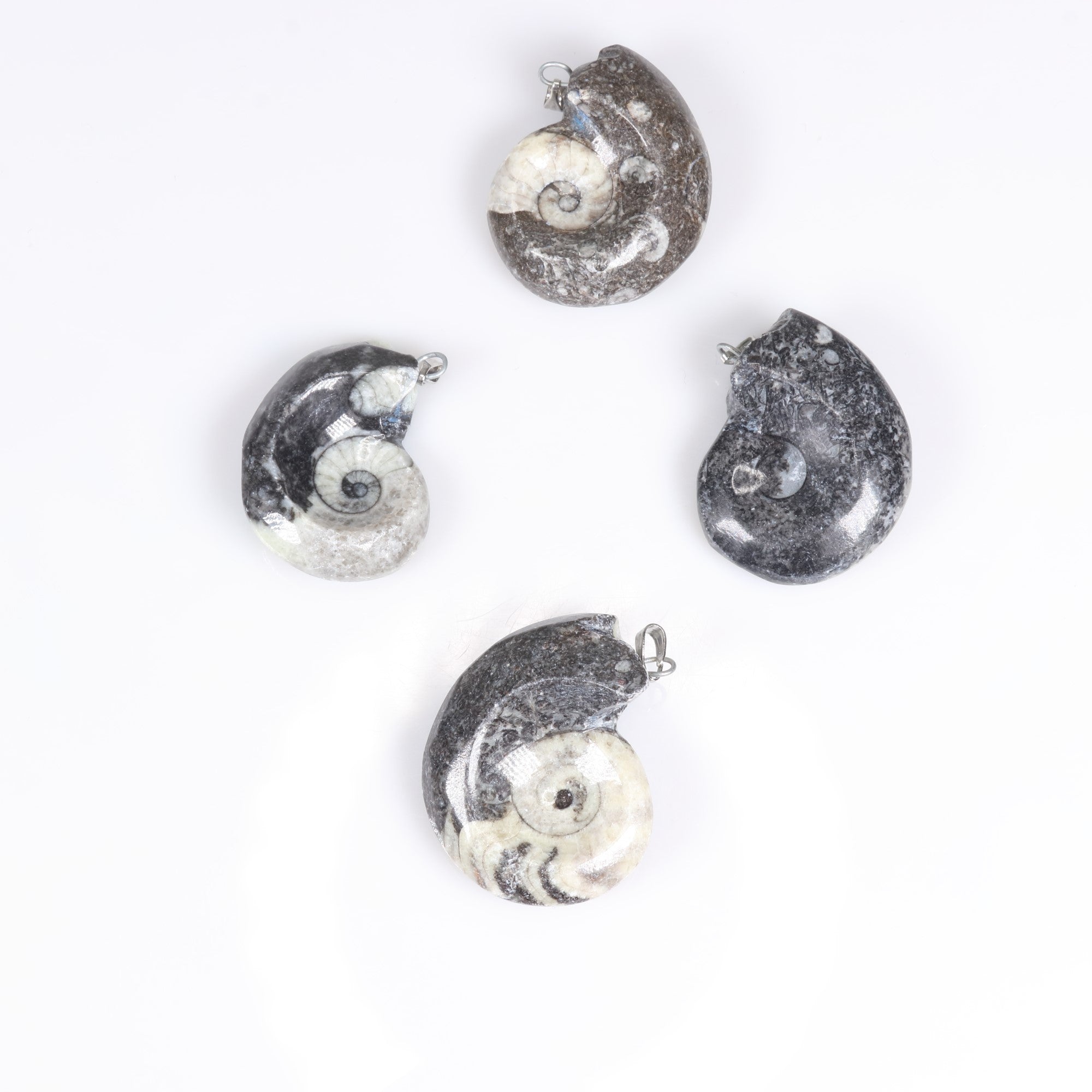 Goniatite Shaped Pendants, 1.10" x 1.40" x 0.33" Inch, 5 Pieces in a Pack, #036