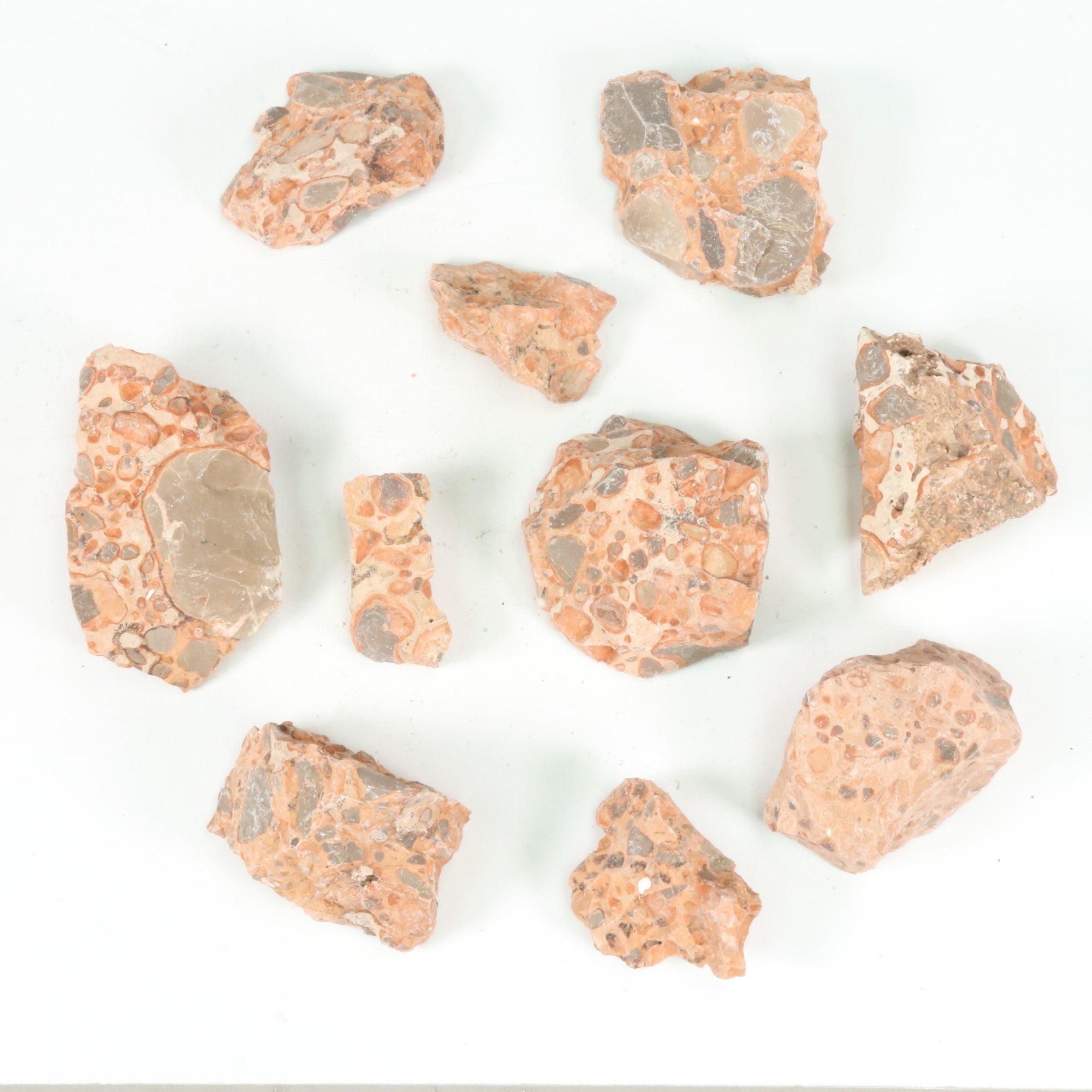 Leopardolite Rough Stone, 3-6cm, 20 Pieces in a Pack, #062