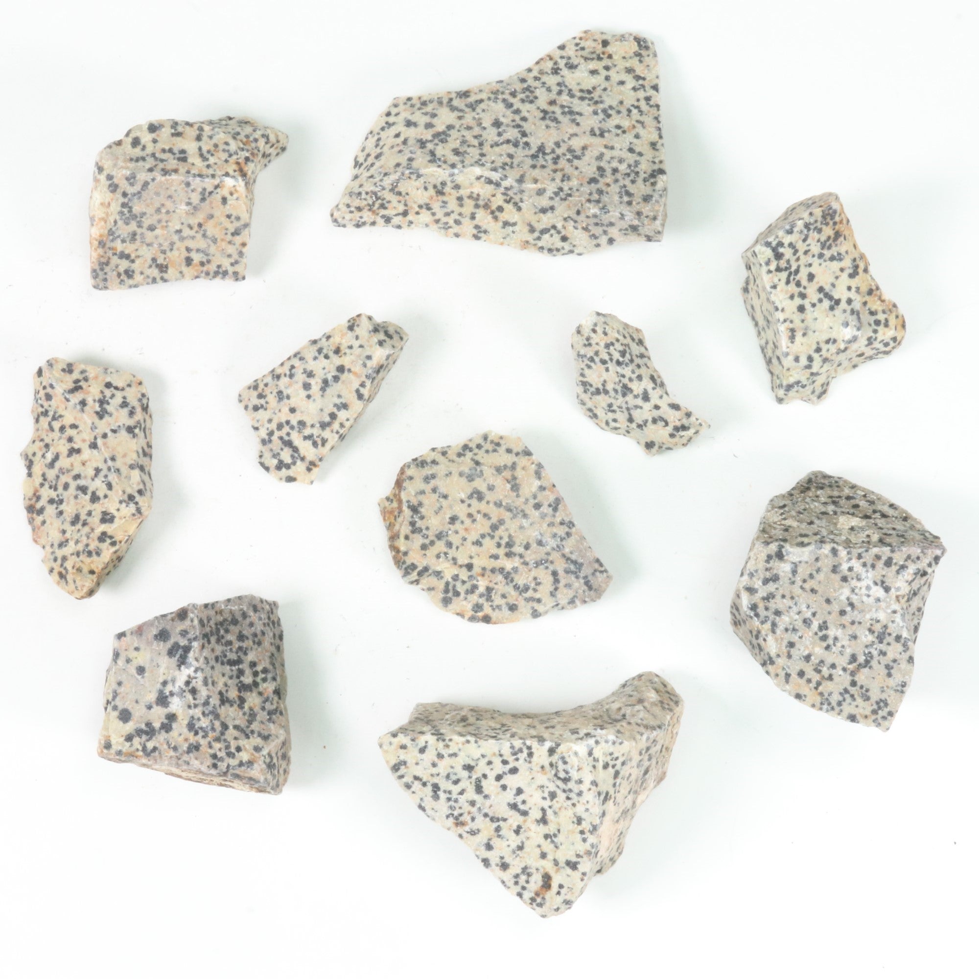 Dalmatian Jasper Rough Stone, 3-6cm, 20 Pieces in a Pack, #063