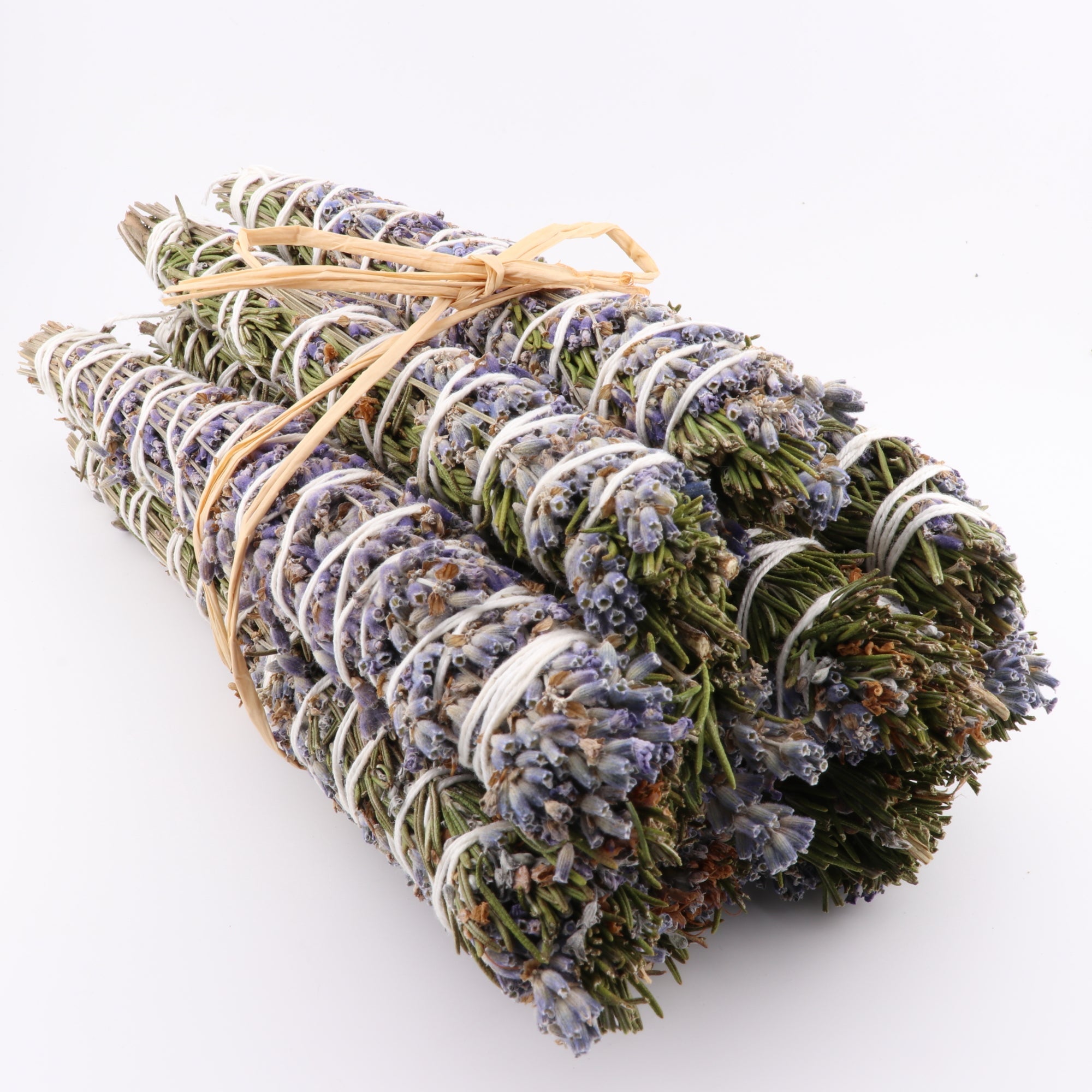 Rosemary Lavender, Chinook Tribe OR, 8-9 Inches, 5 Pieces in a Pack #009