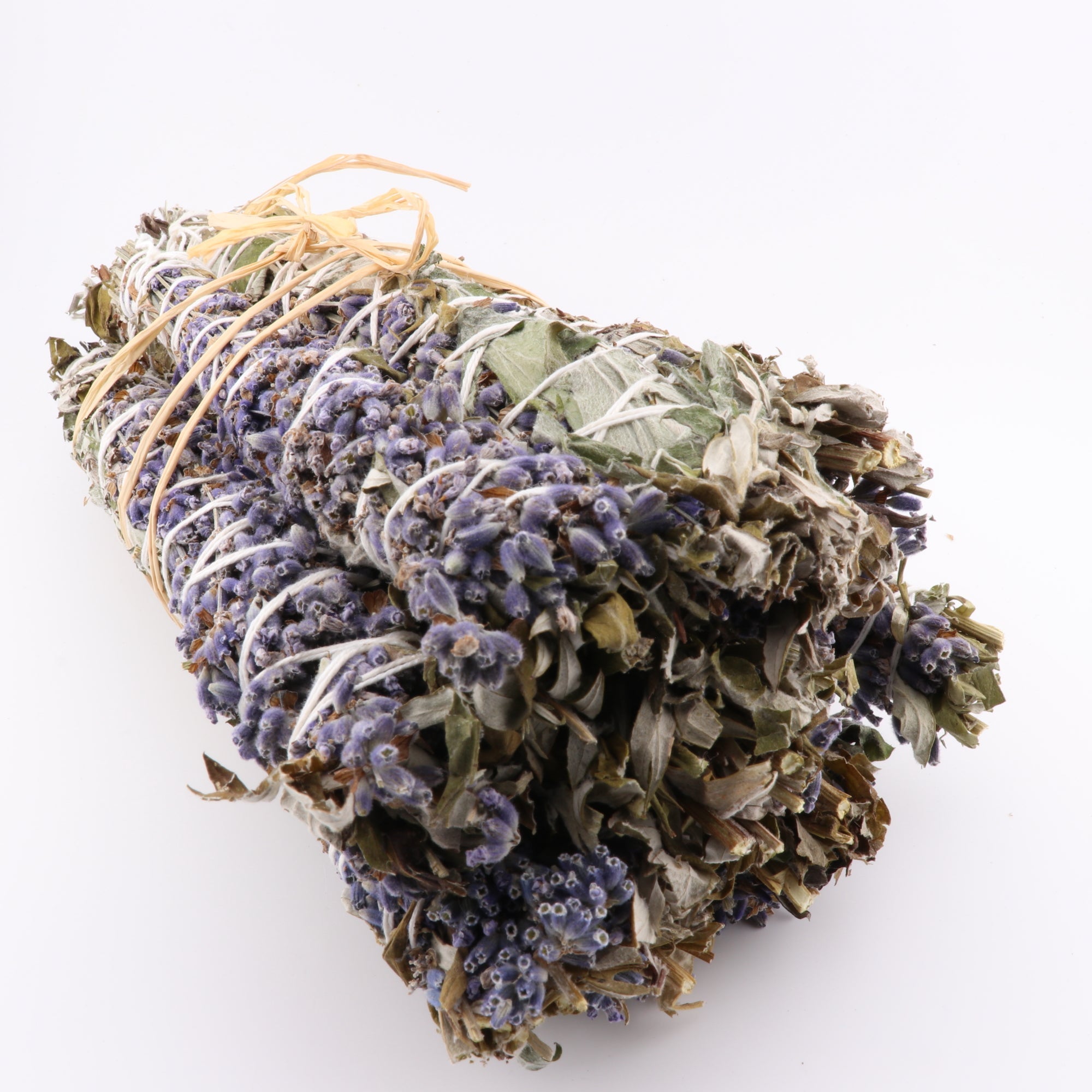 Mugwort, Lavender, Chinook Tribe OR, 8-9 Inches, 5 Pieces in a Pack #011