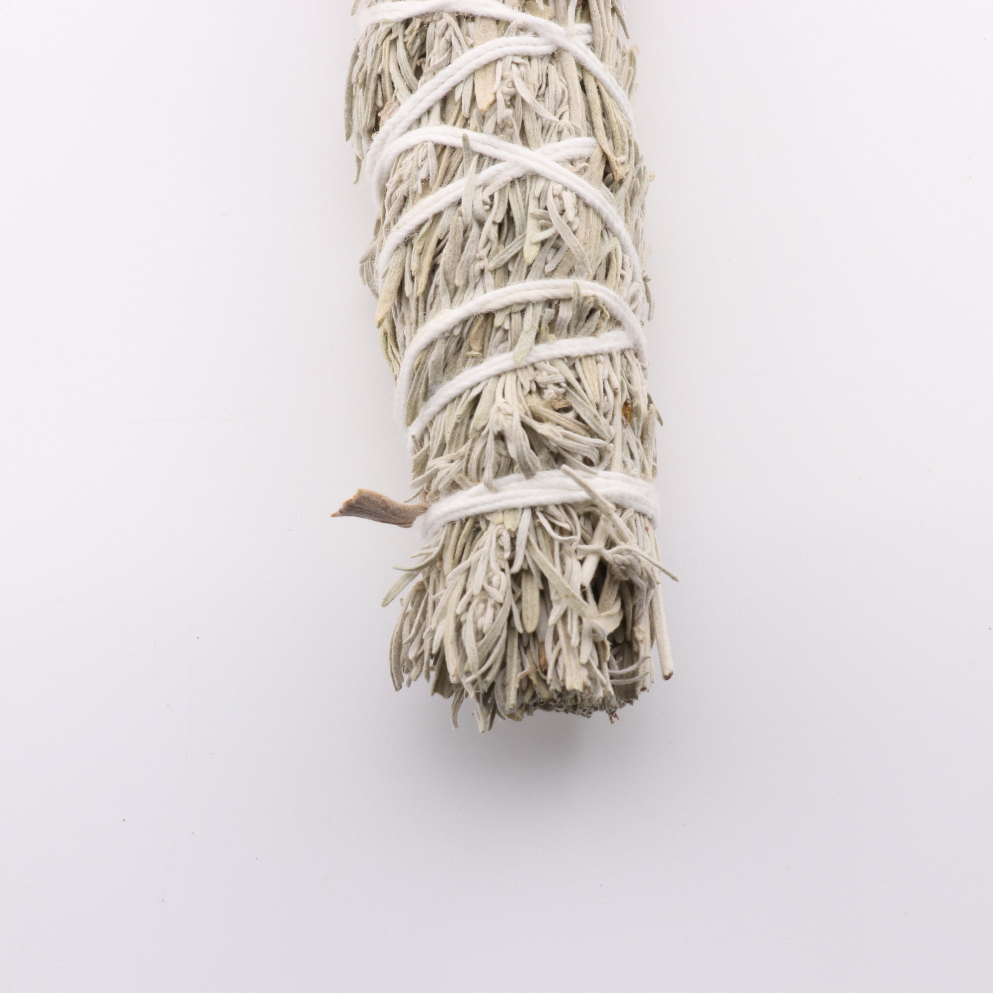 Mountain Sage Bundles, Chinook Tribe OR, 7-8 Inches, 5 Pieces in a Pack #012