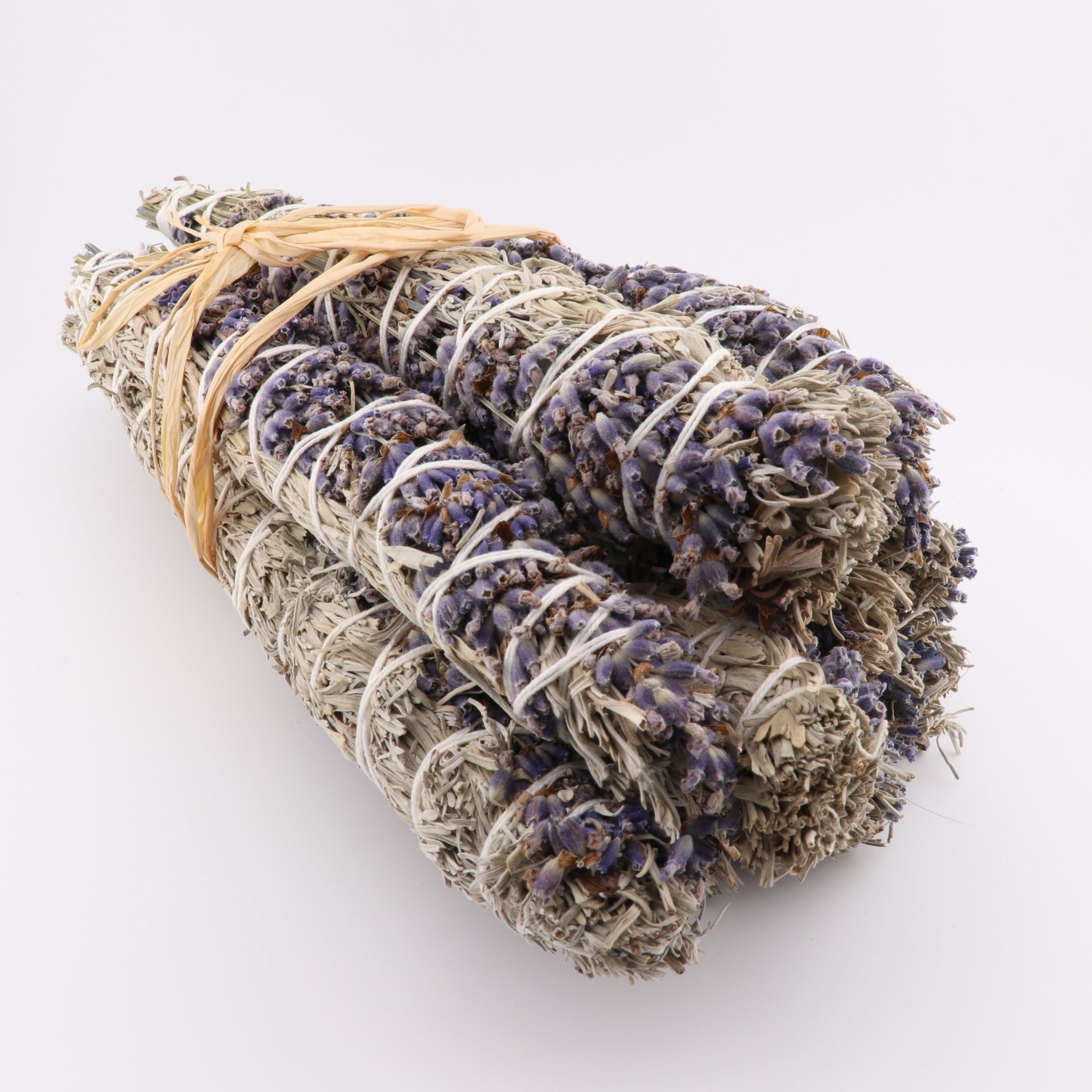 Mountain Sage, Lavender, Chinook Tribe OR, 8-9 Inches, 5 Pieces in a Pack #013