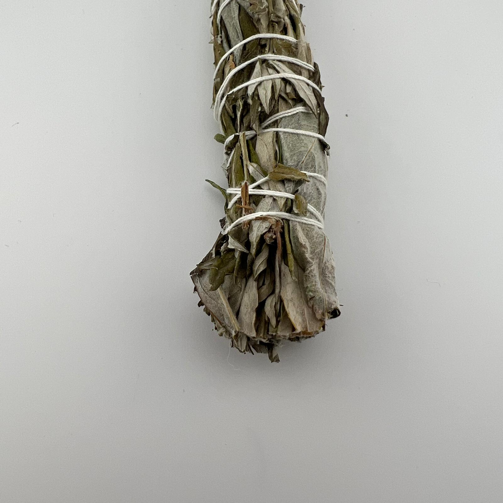 Mugwort Smudge, Chinook Tribe OR, 8-9 Inches, 5 Pieces in a Pack #015