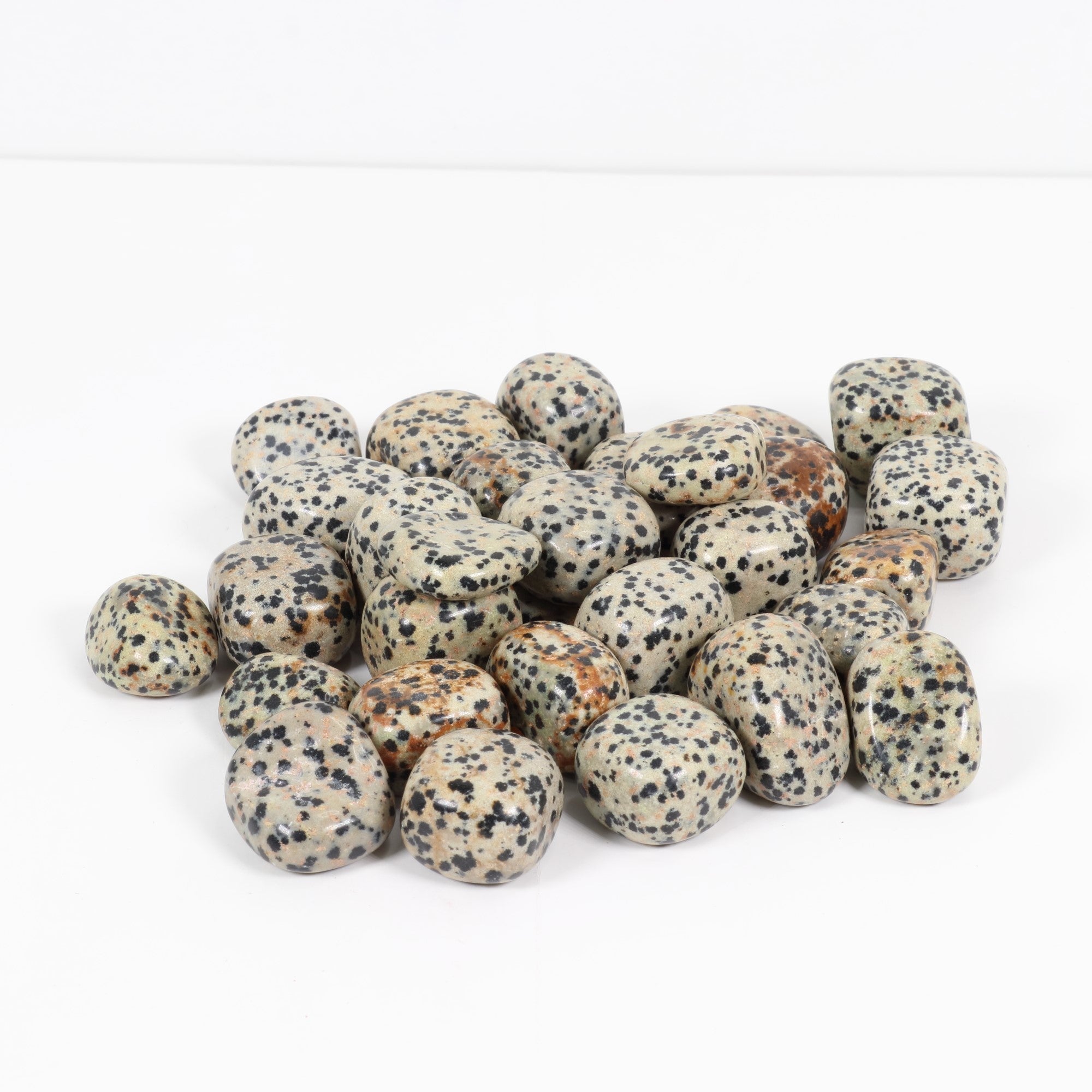 Tumbled Dalmatian Jasper, 2-3 cm, Standard Quality, 1 Lb.